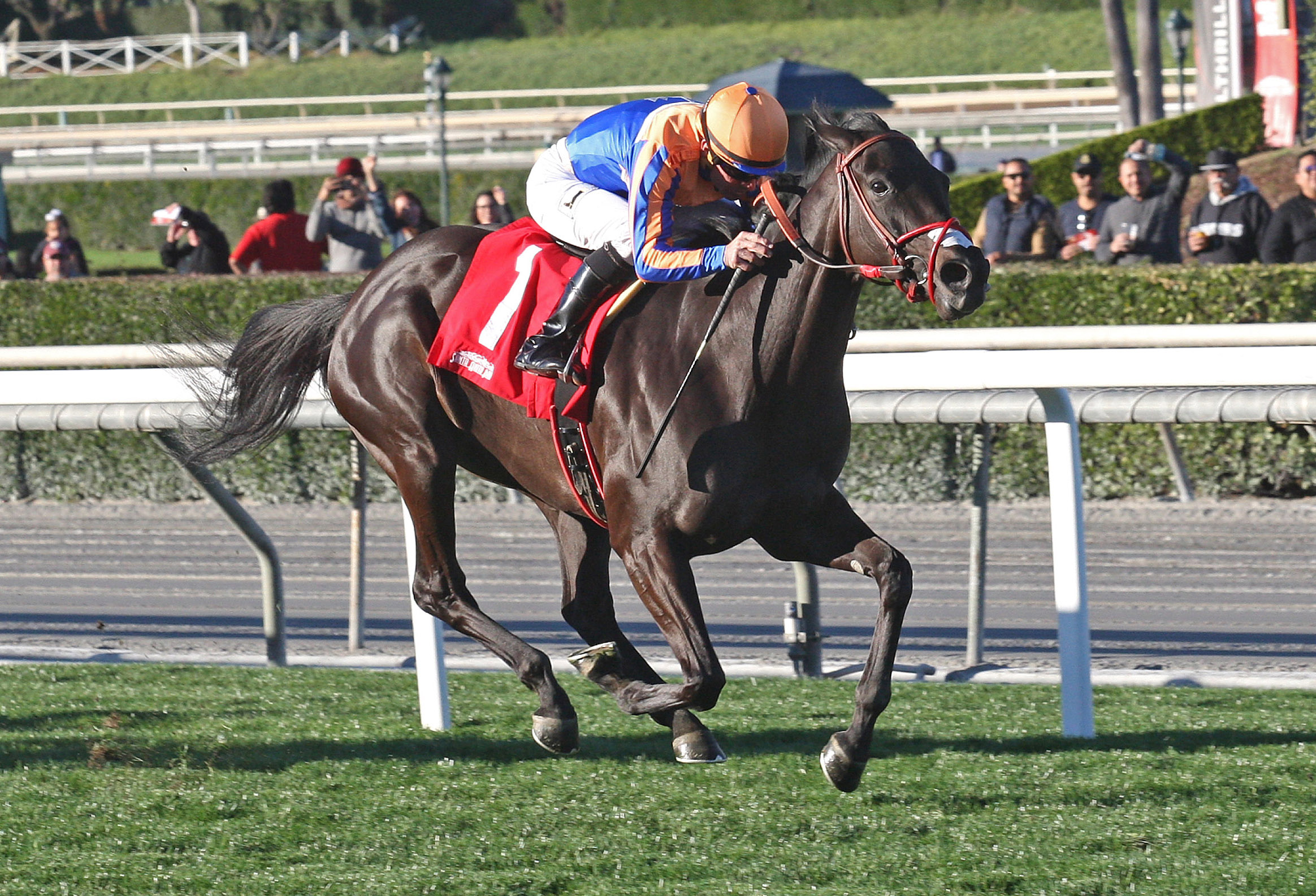 Coniah wins the Las Cienegas Stakes