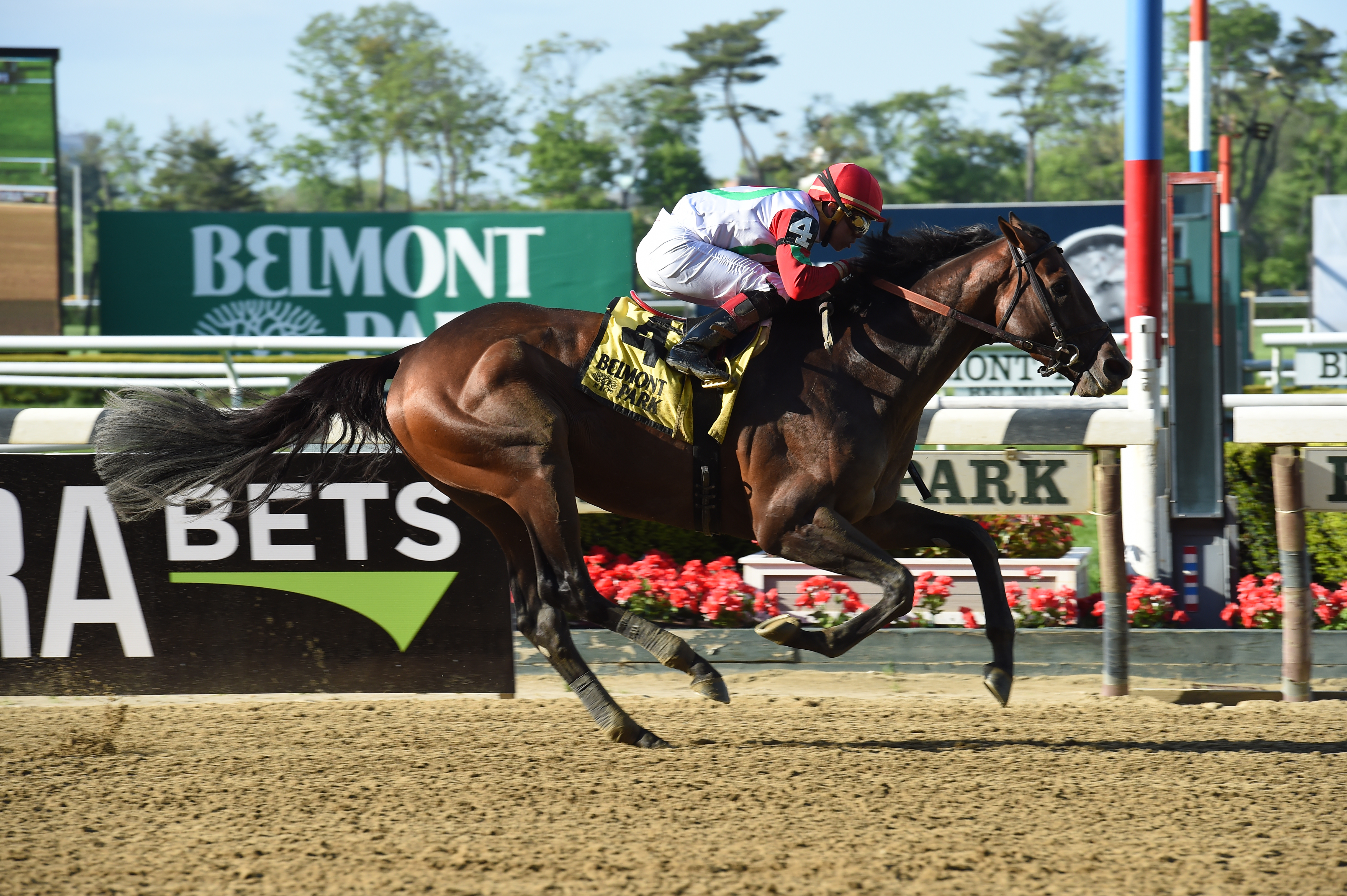 Connect wins the Westchester Stakes