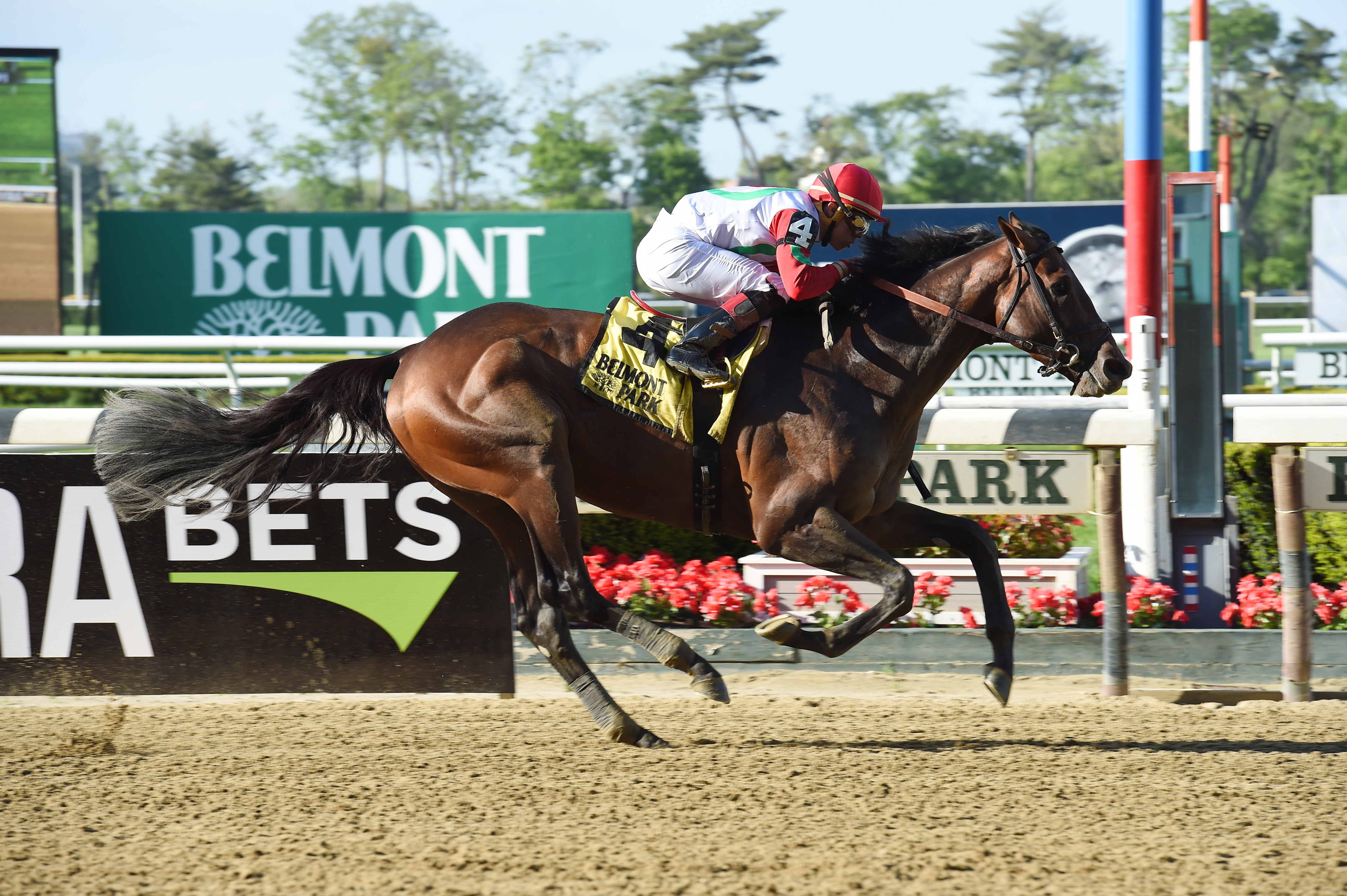 Connect wins the Westchester Stakes