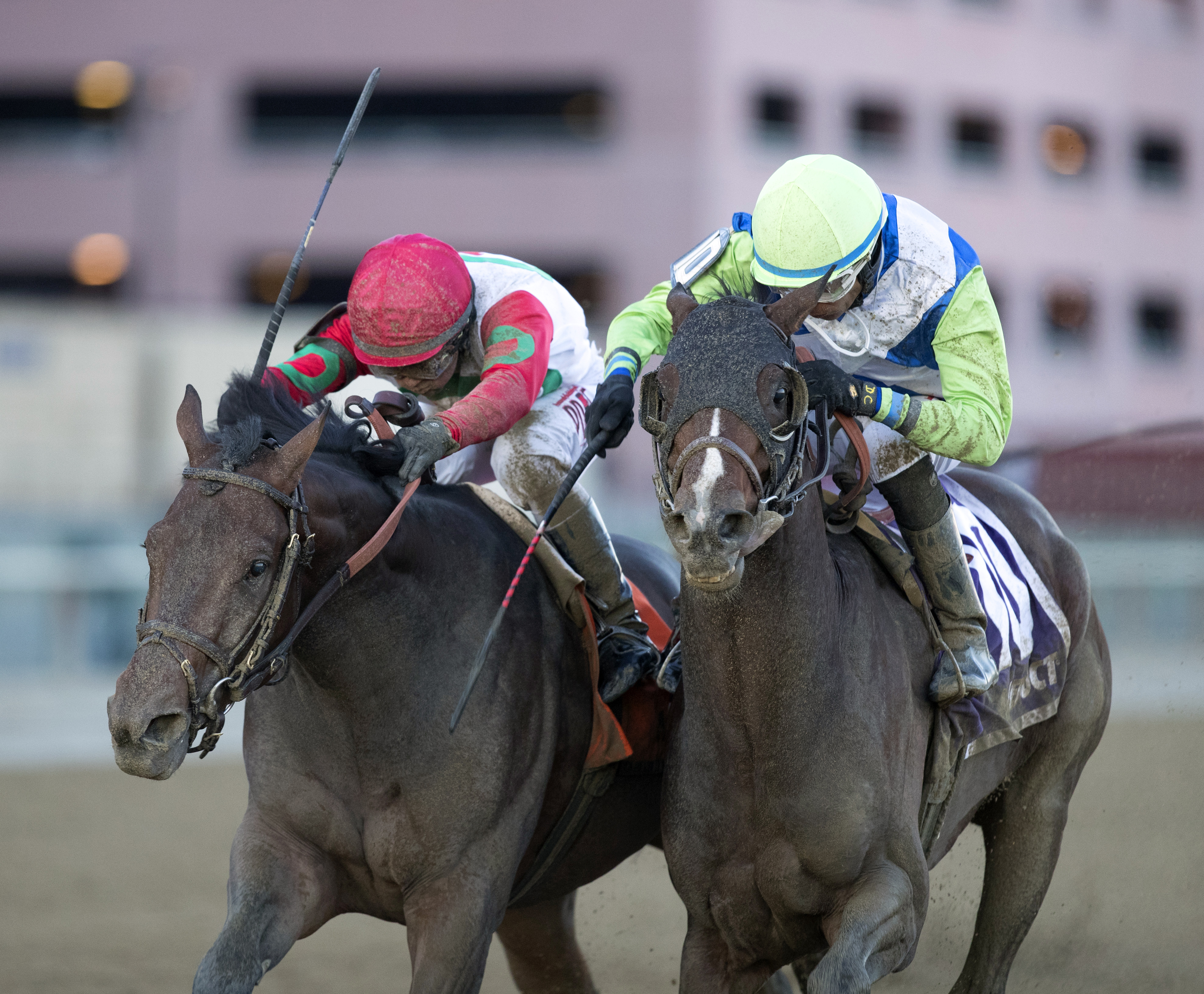 Divining Rod finishes second in the Cigar Mile