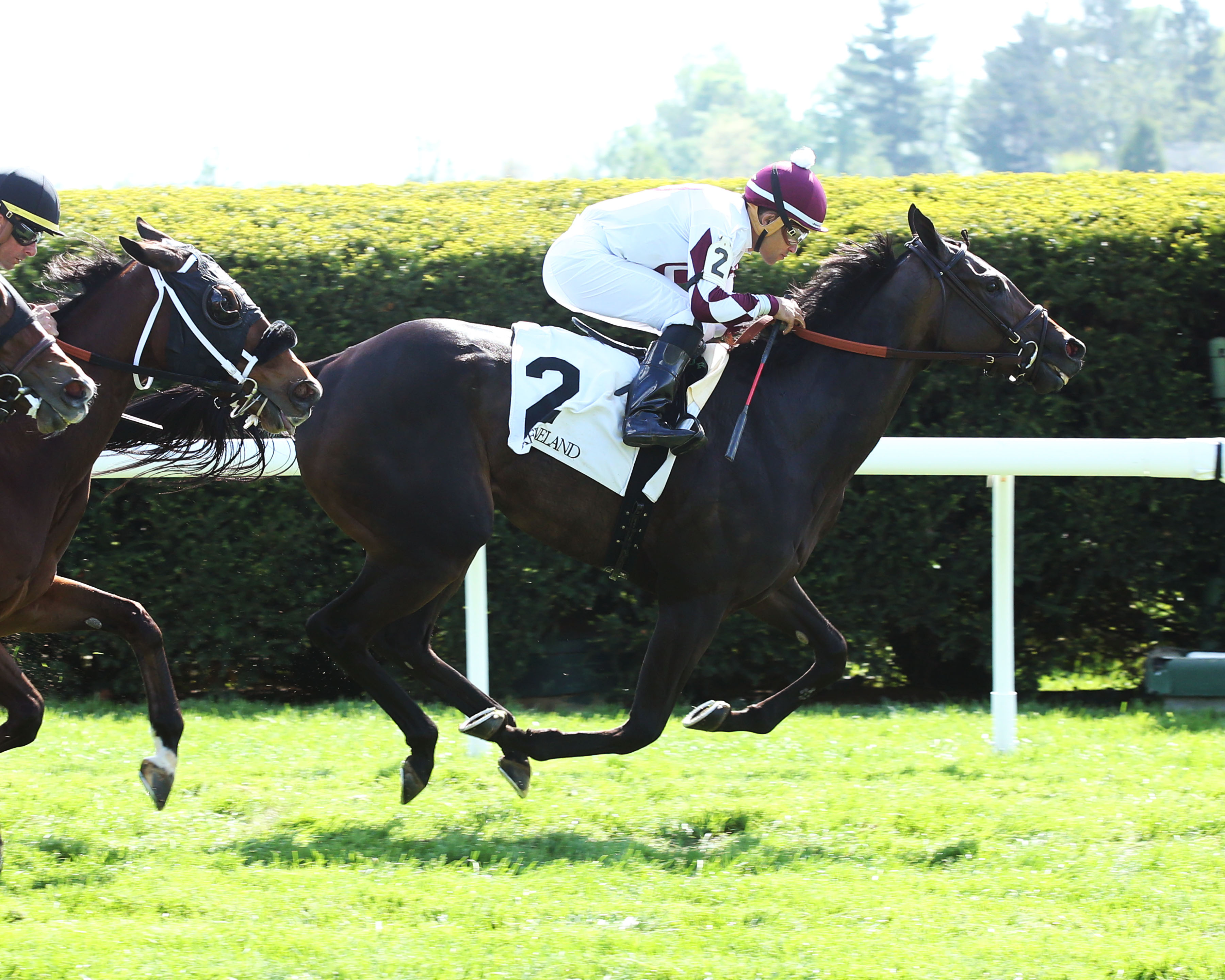 Conquest Babayaga