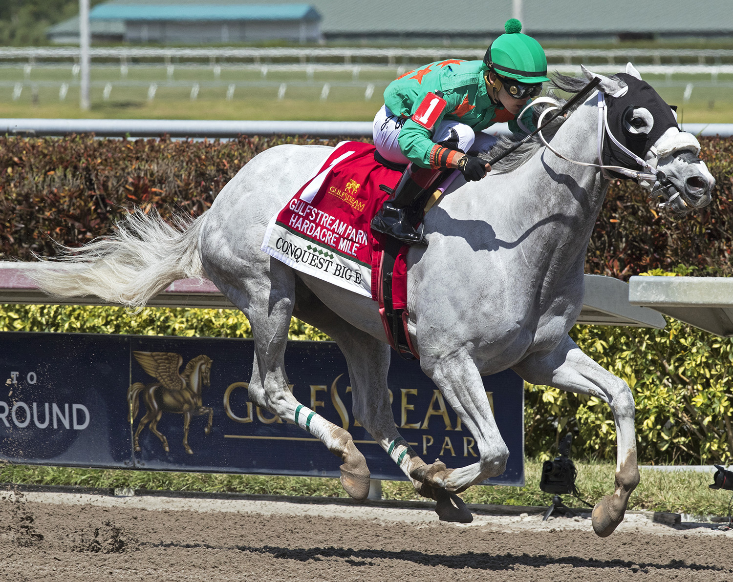 Conquest Big E wins the Gulfstream Park Hardacre Mile