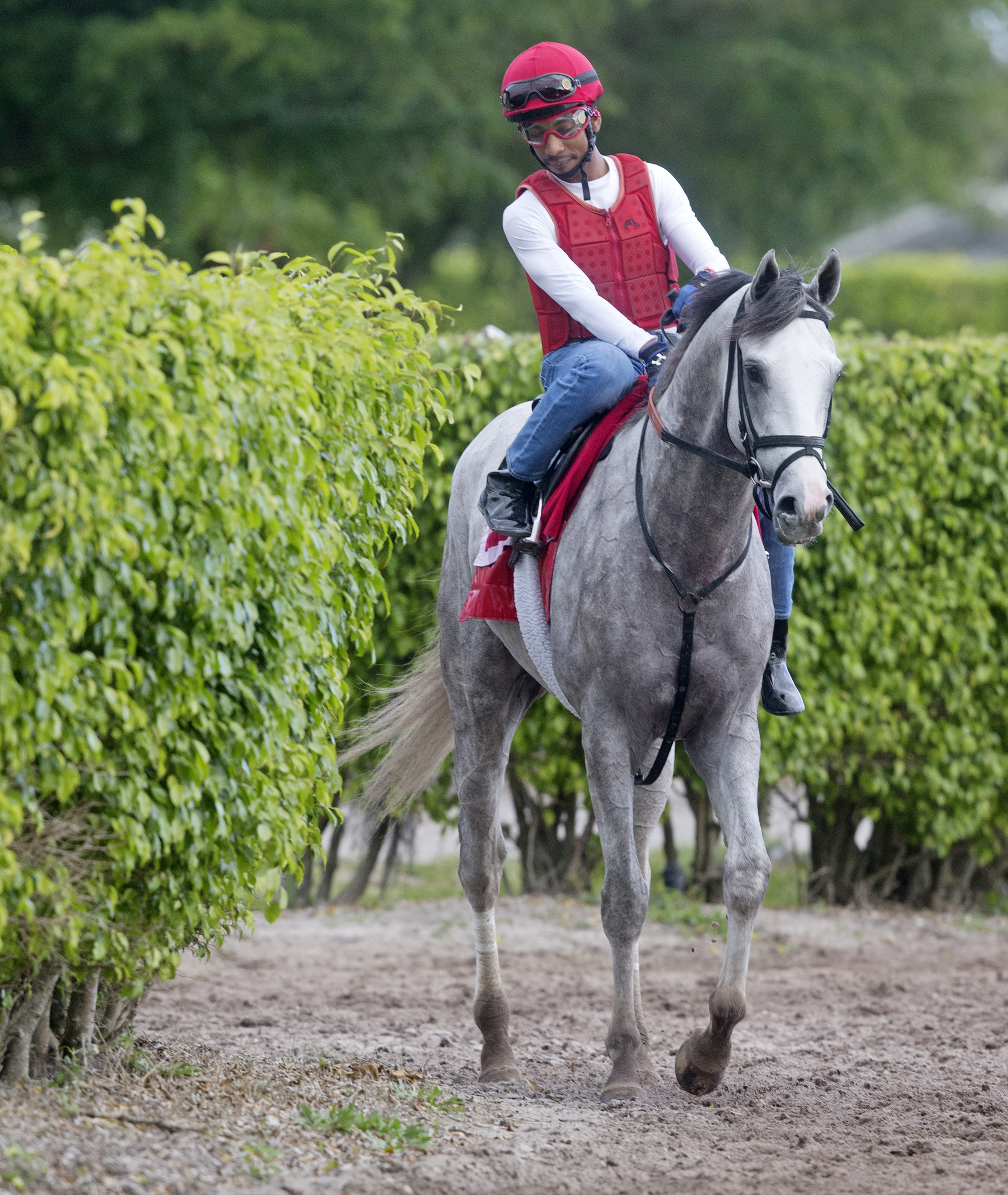 Conquest Big E at Palm Meadows on Feb. 19