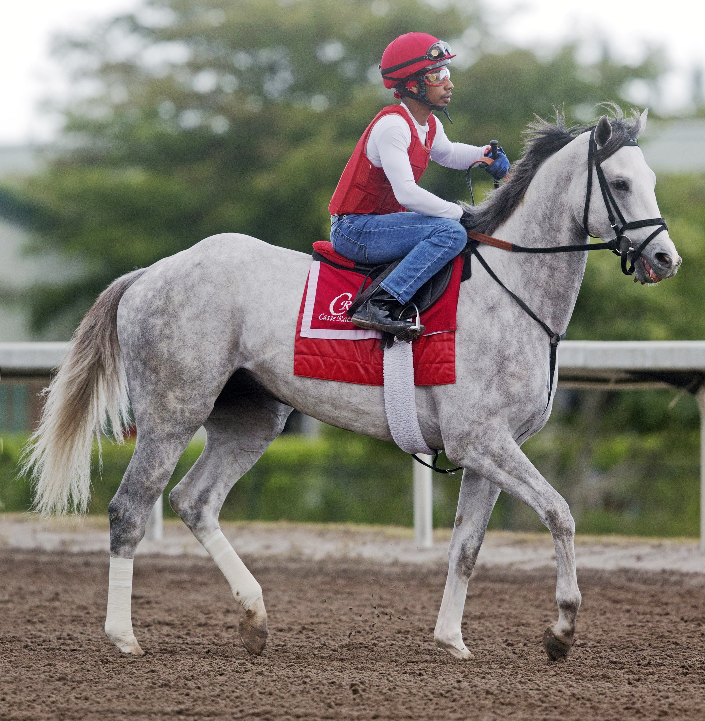 Conquest Big E at Palm Meadows on Feb. 19