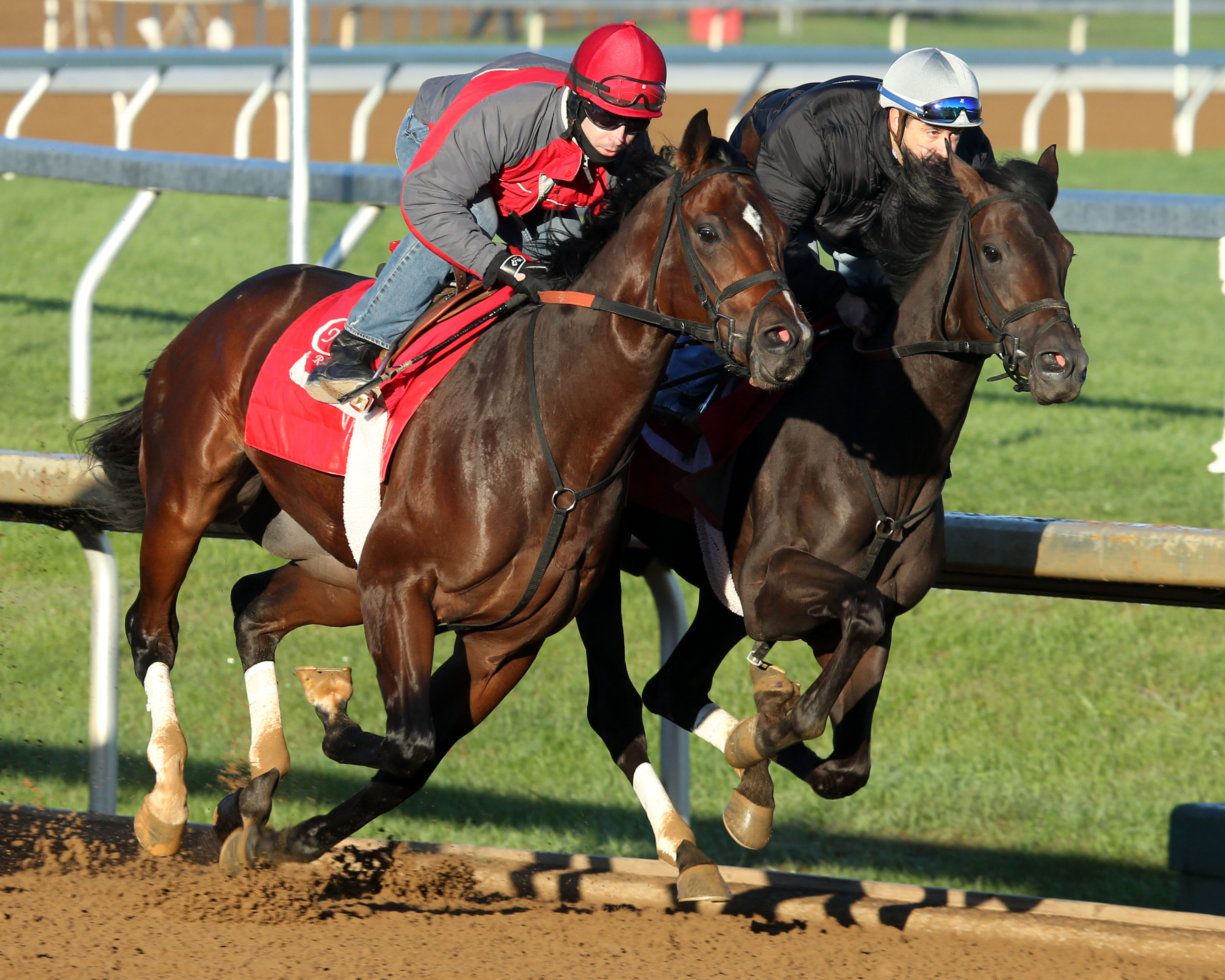 Conquest Daddyo
