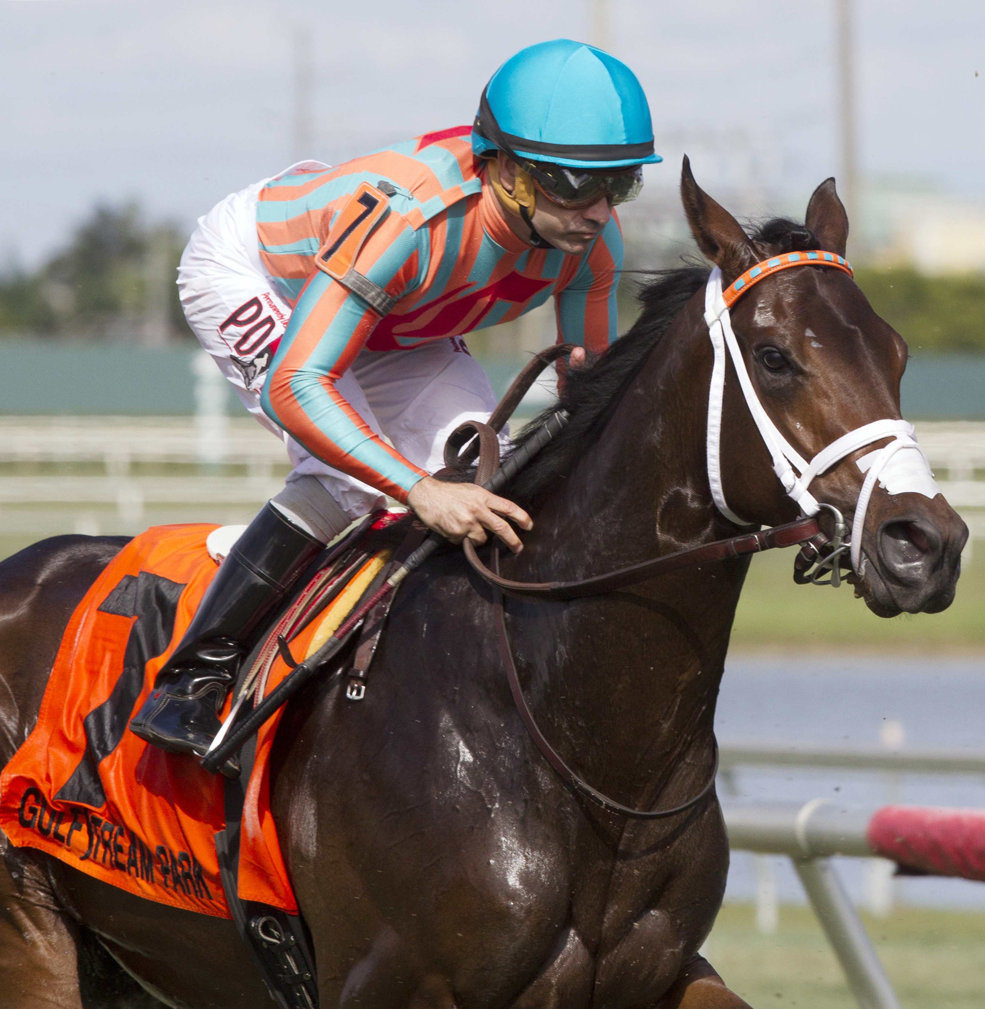 Conquest Daddyo finishes sixth in the Kitten's Joy