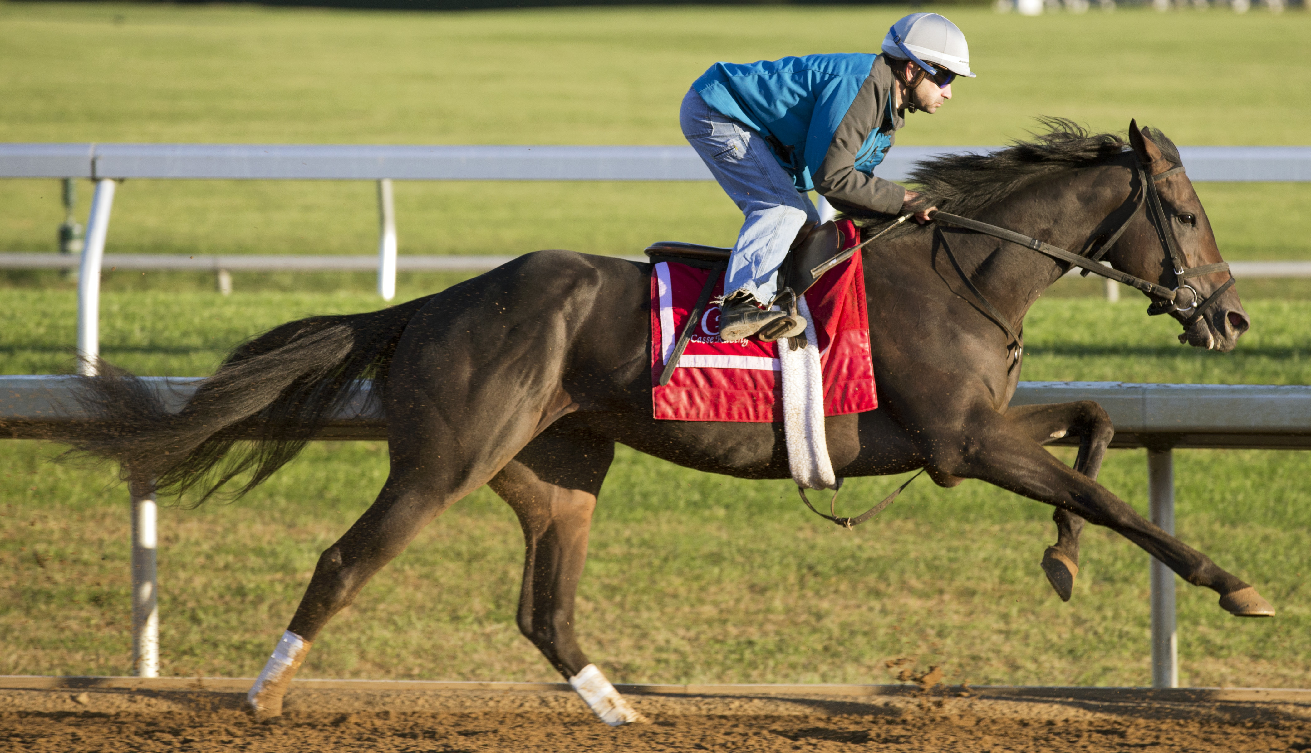 Conquest Daddyo