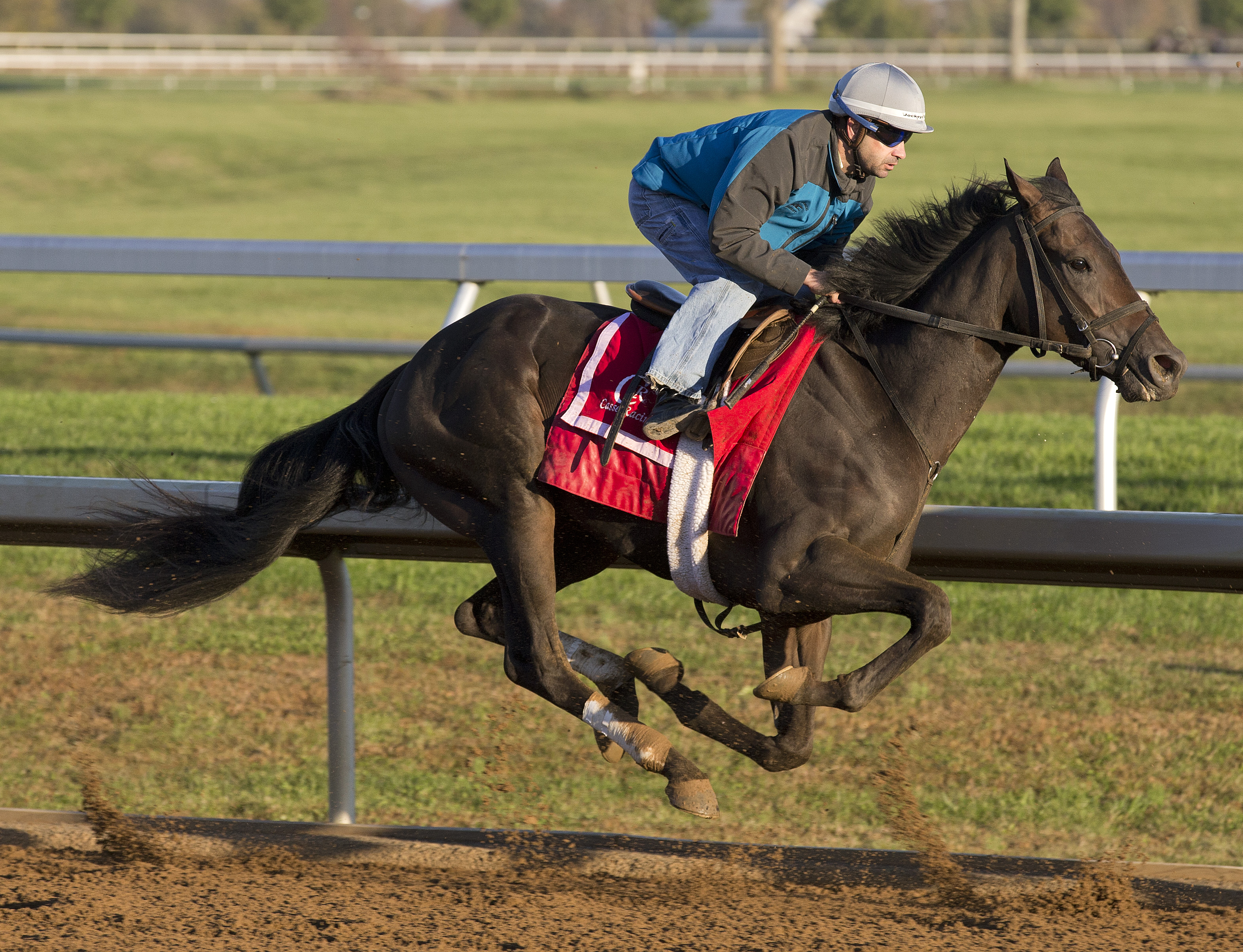 Conquest Daddyo