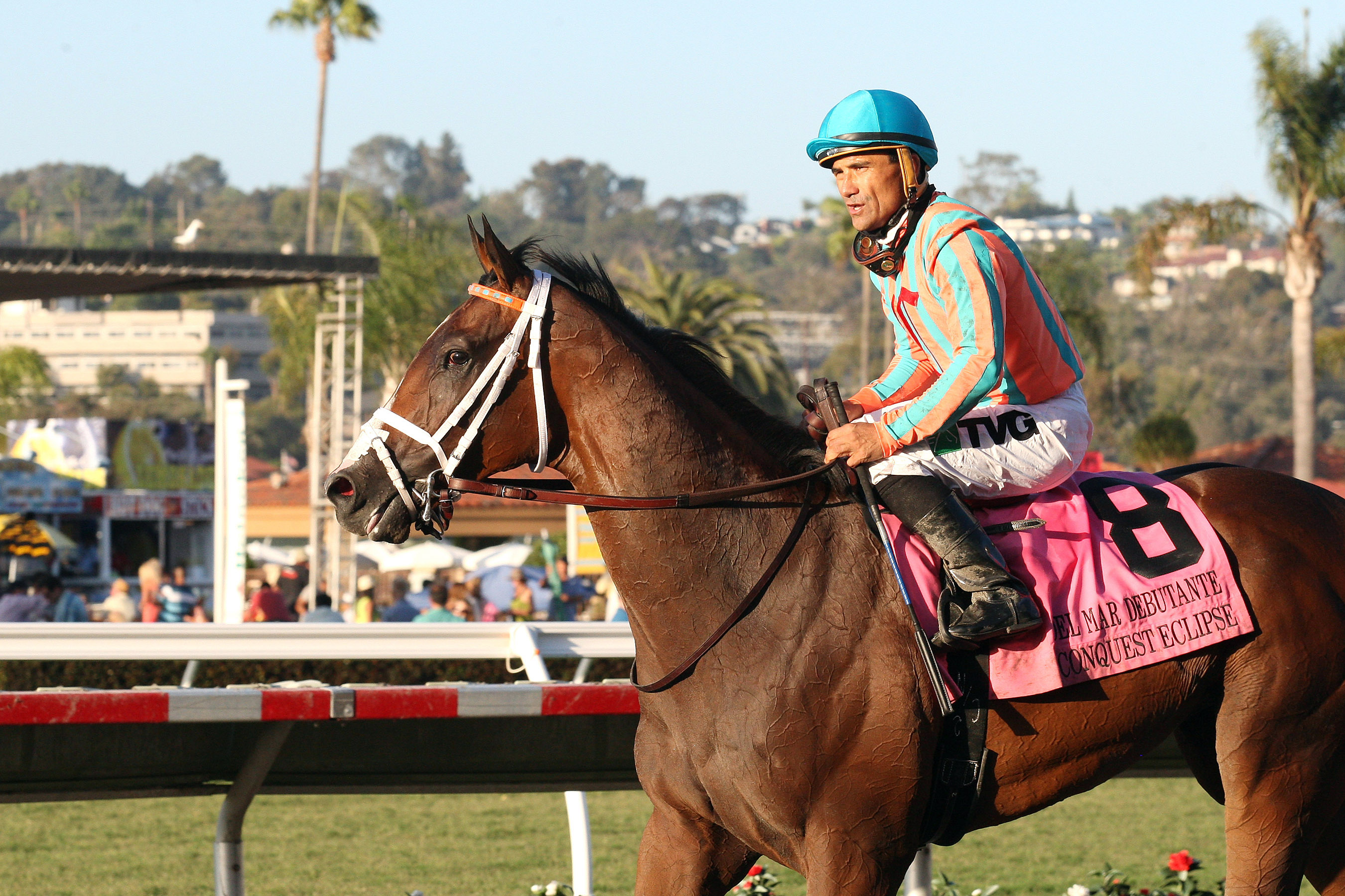 Conquest Eclipse finishes third in the Del Mar Debutante