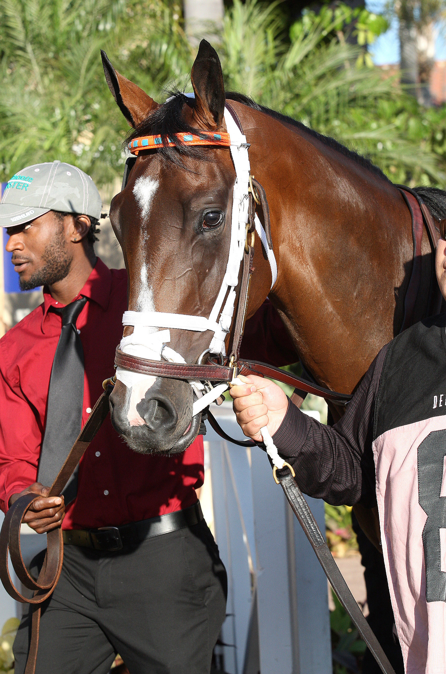Conquest Eclipse