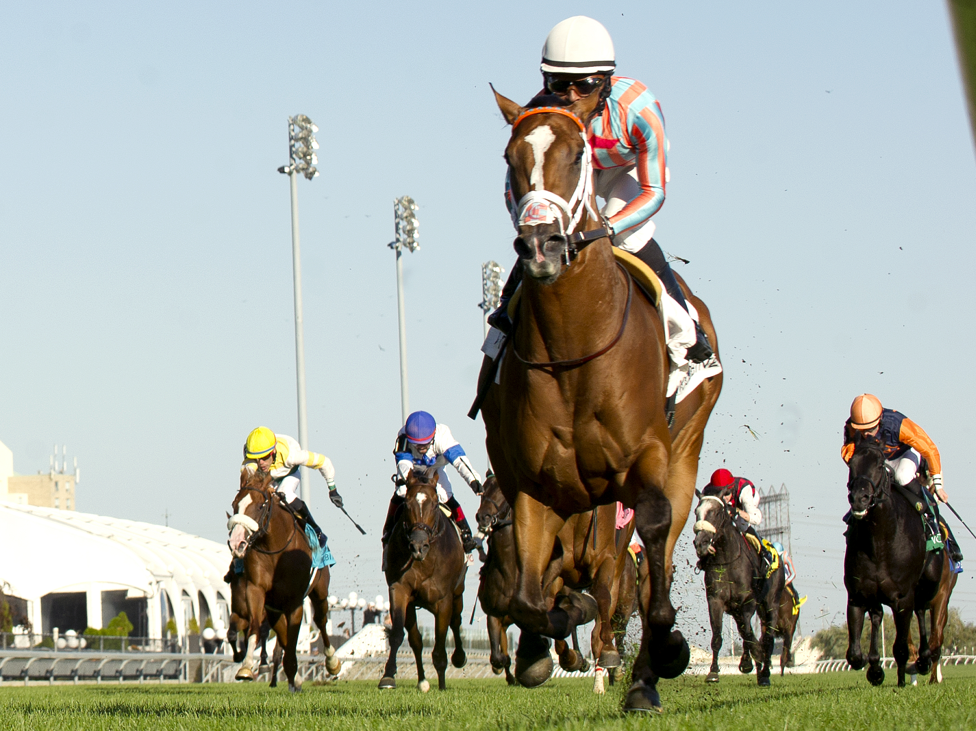 Conquest Enforcer wins the Cup and Saucer