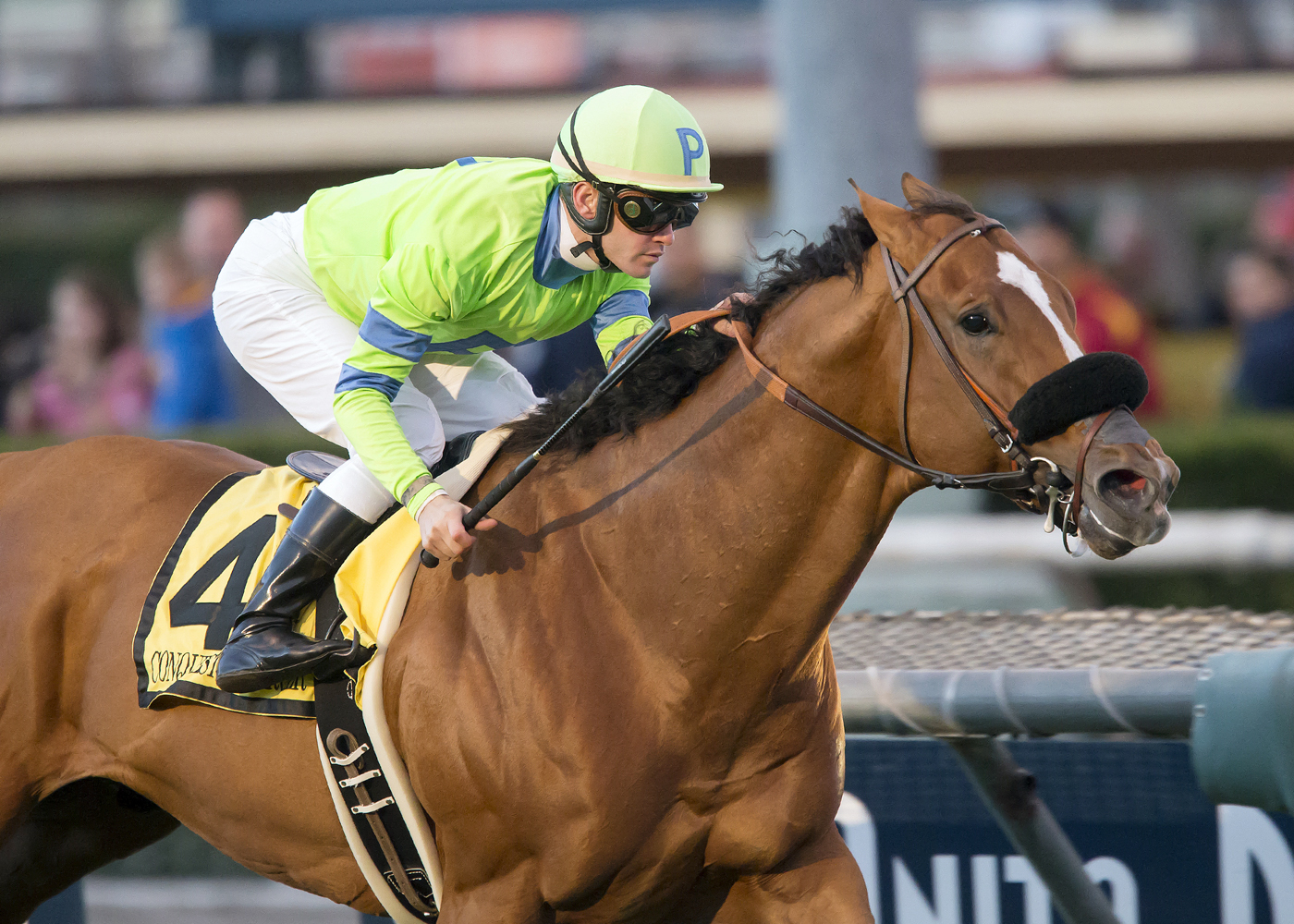 Conquest Enforcer wins the Mathis Brothers Mile