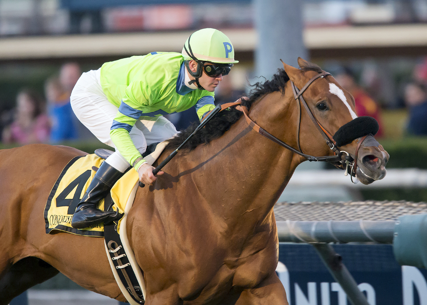 Conquest Enforcer wins the Mathis Brothers Mile