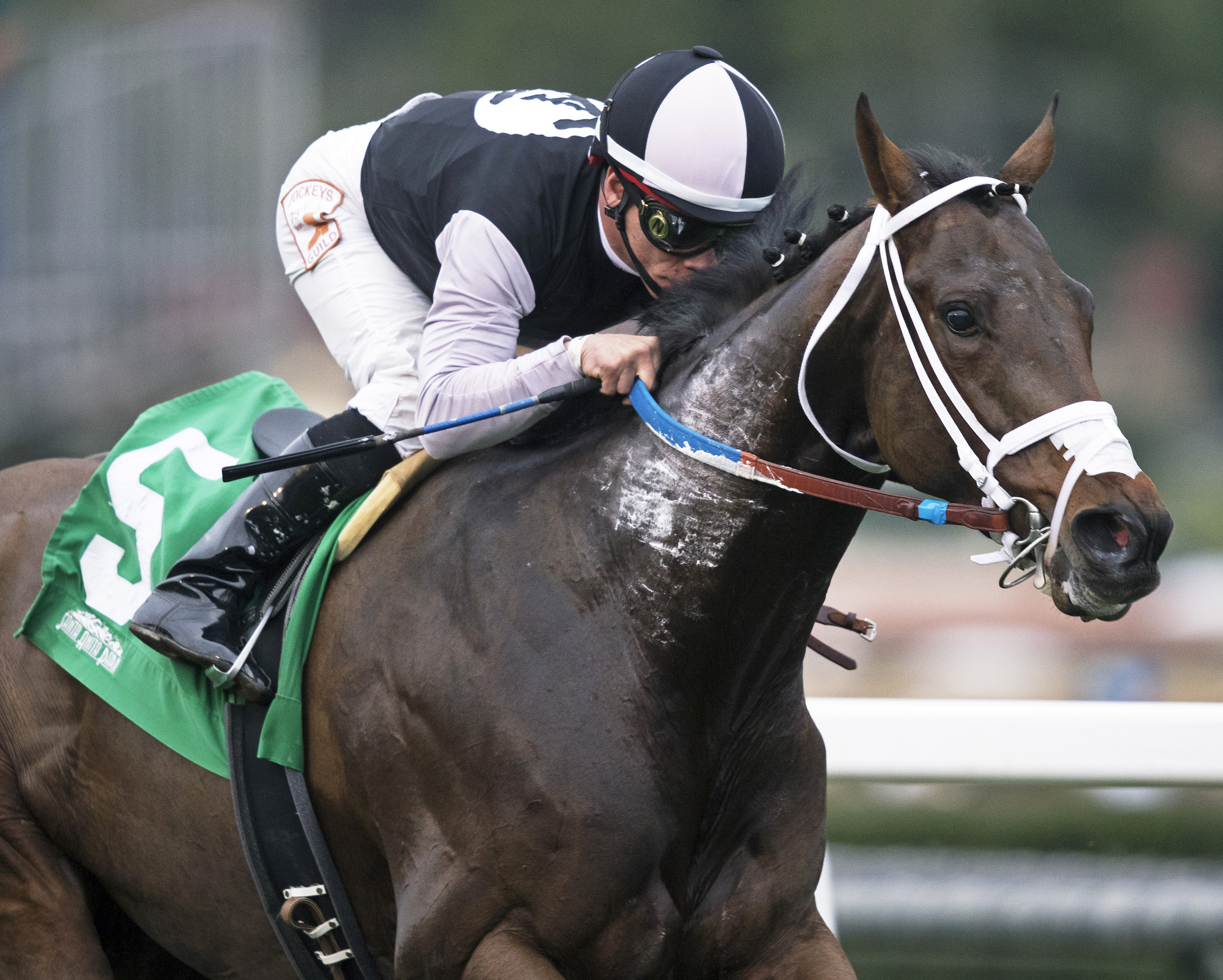 Conquest Farenheit wins the Baffle Stakes