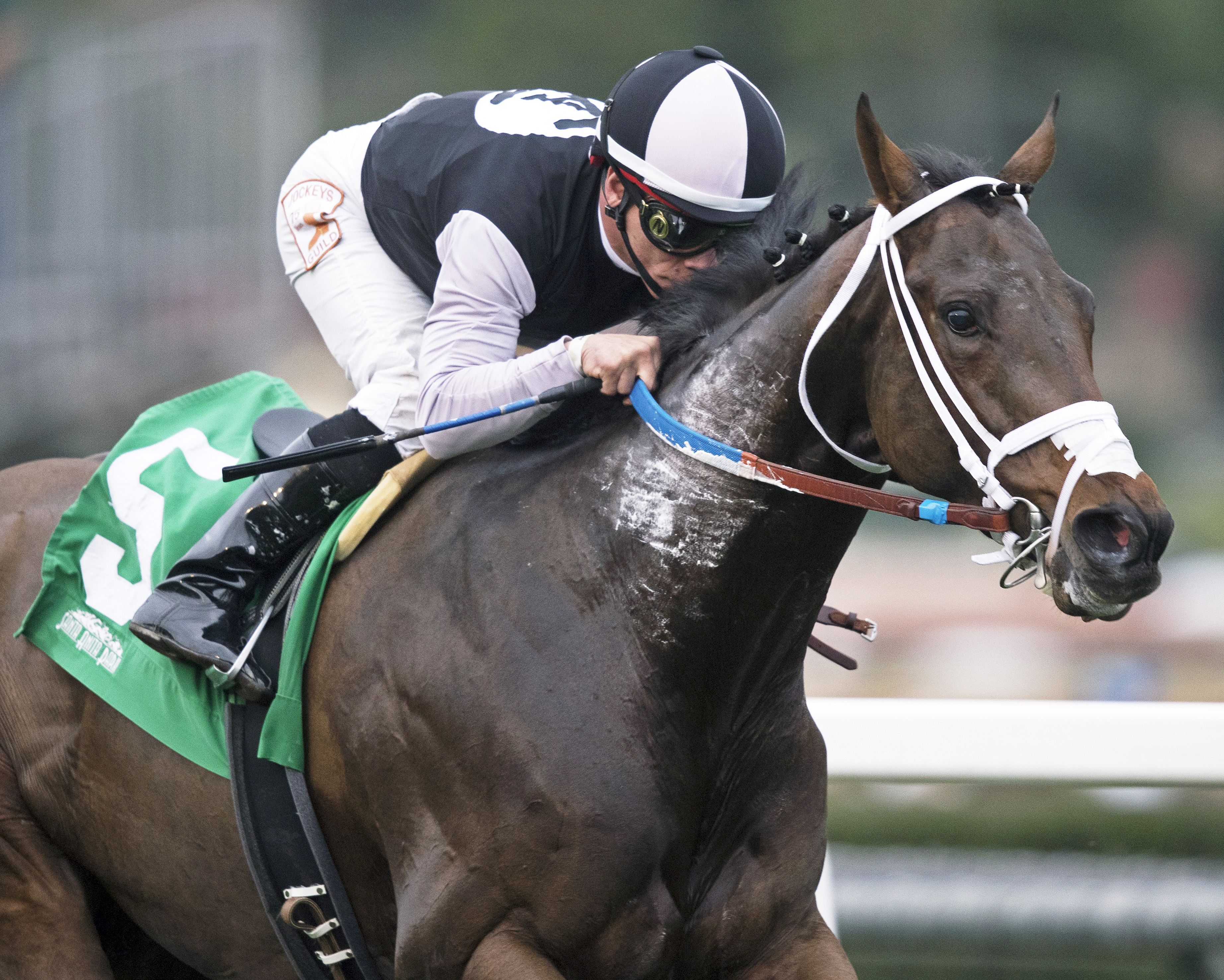 Conquest Farenheit wins the Baffle Stakes