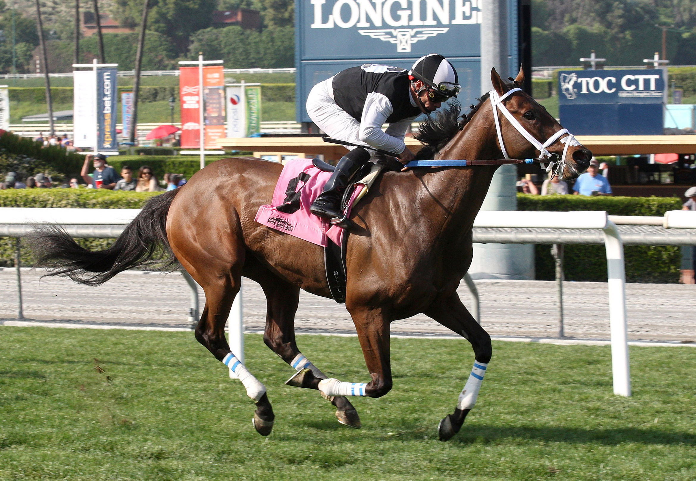 Conquest Farenheit wins the Pasadena Stakes