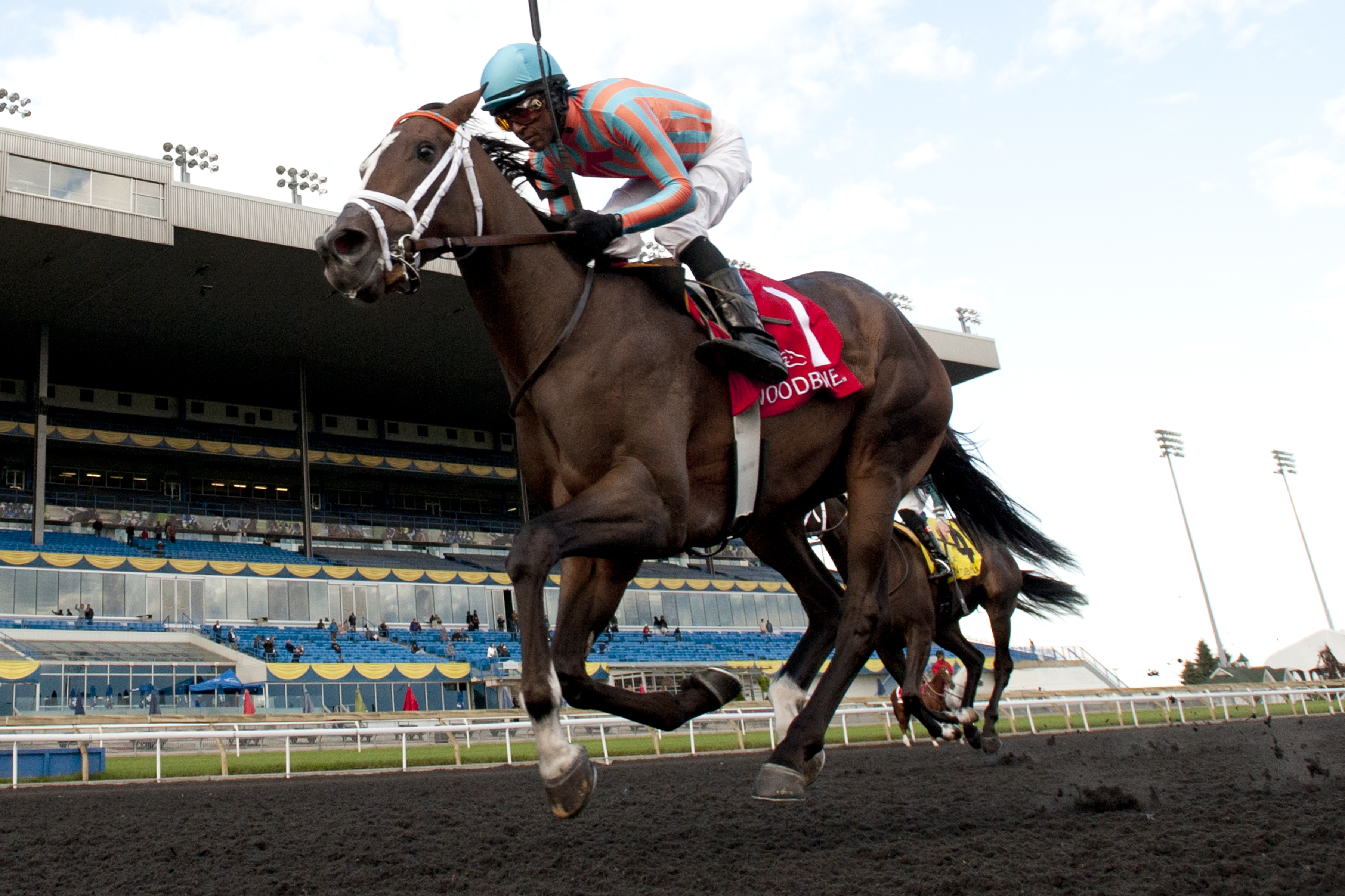 Conquest Harlanate wins 2014 Mazarine