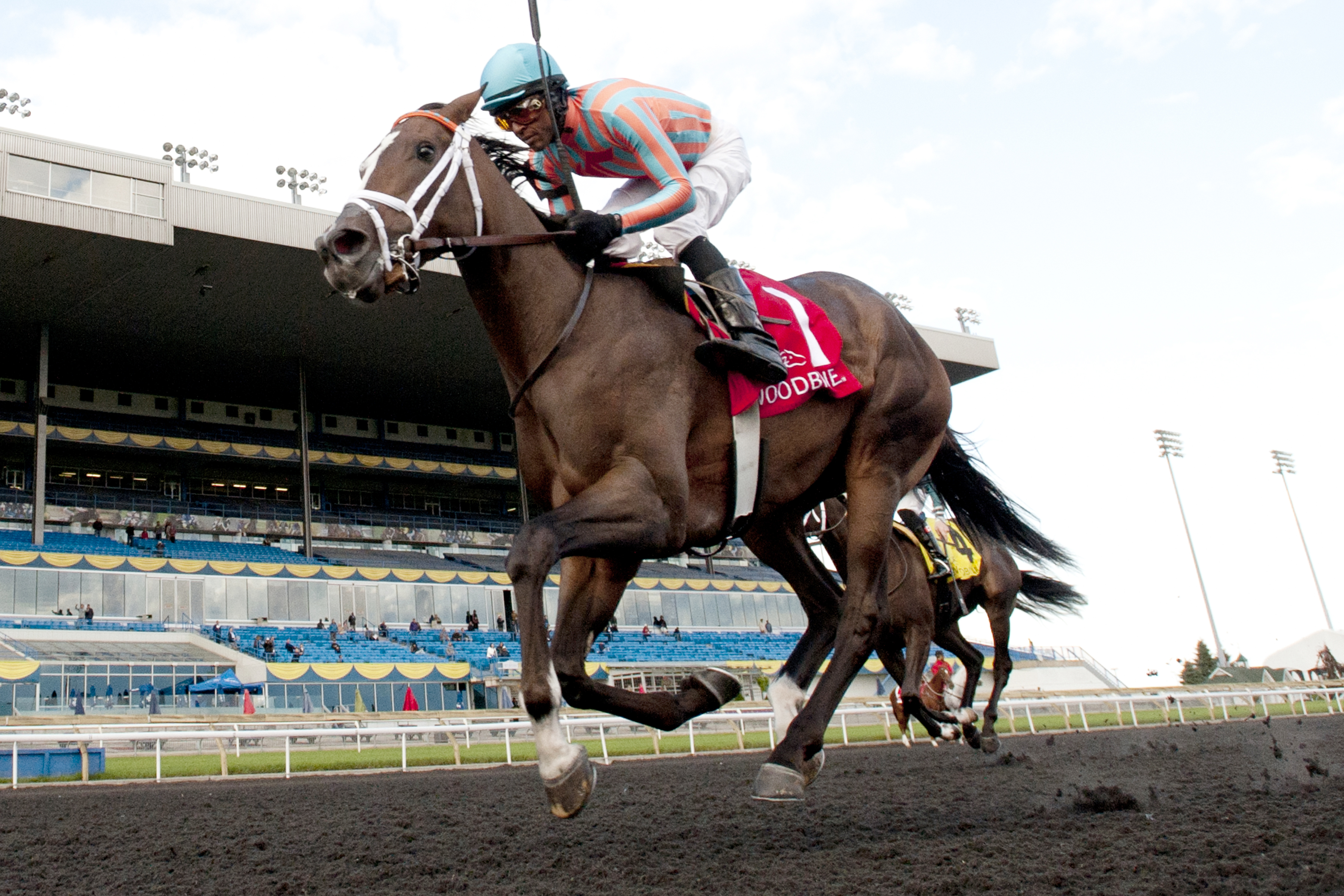 Conquest Harlanate wins the Mazarine Stakes