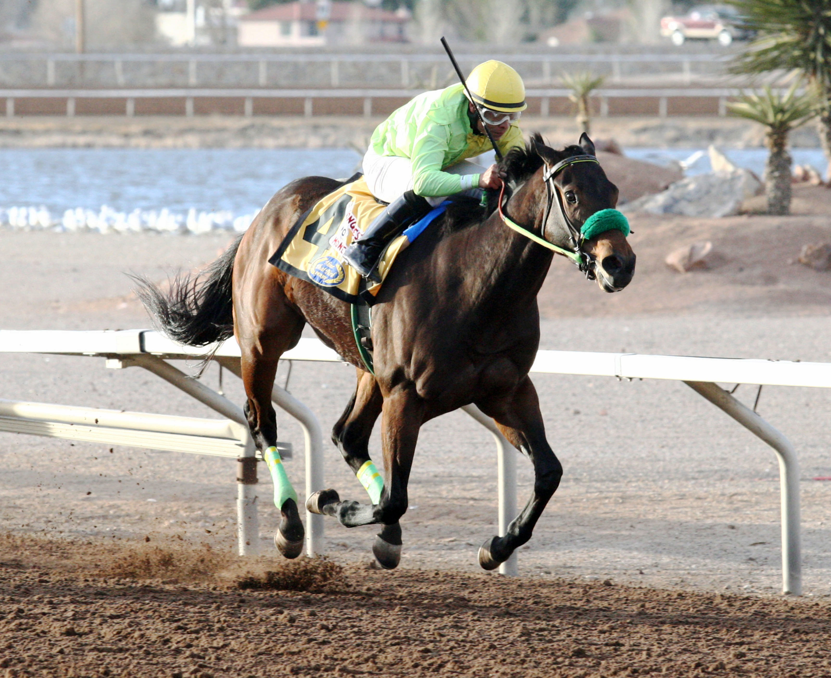 Conquest Mo Money wins the Mine That Bird Derby