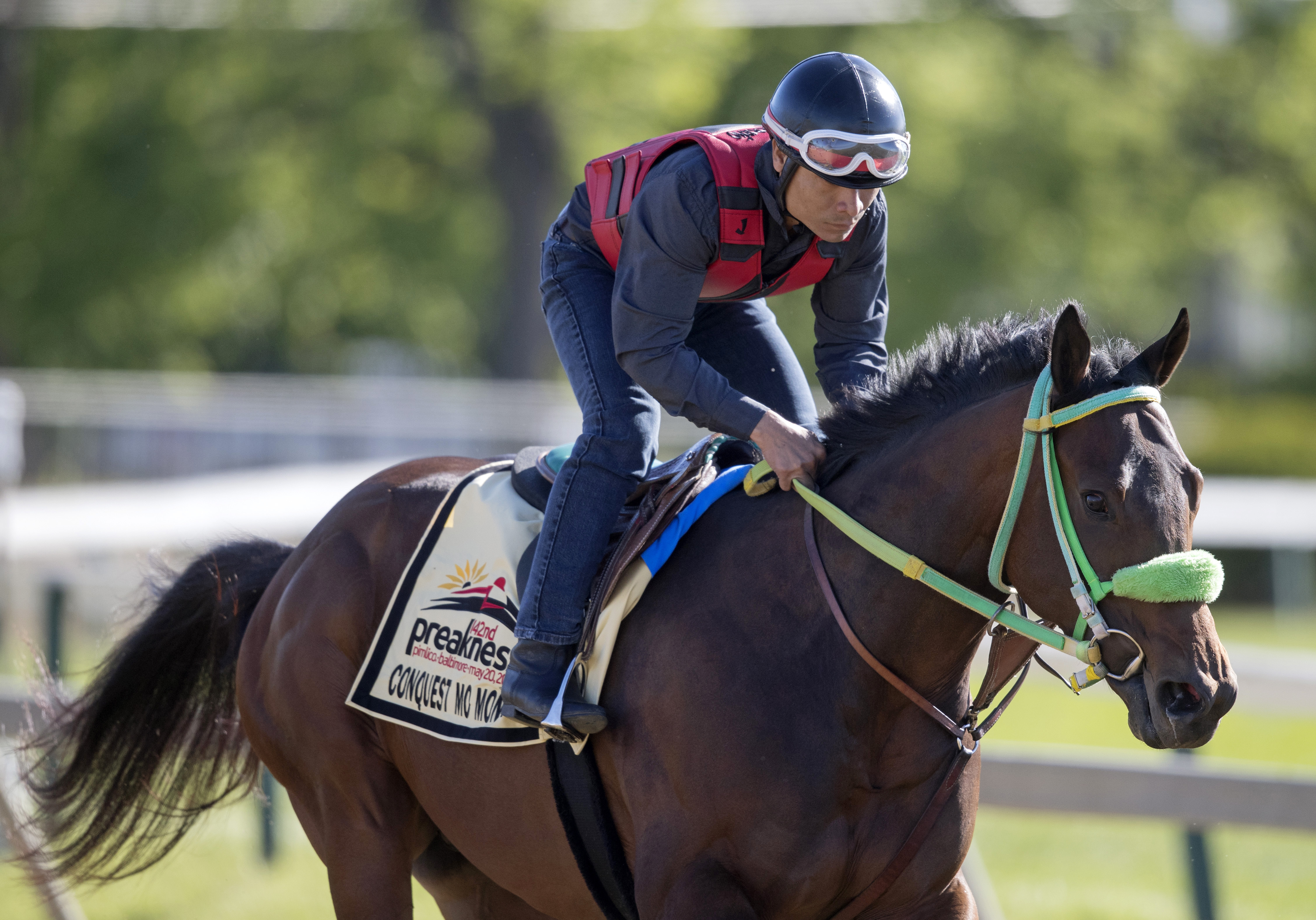 Conquest Mo Money at Pimlico on May 16