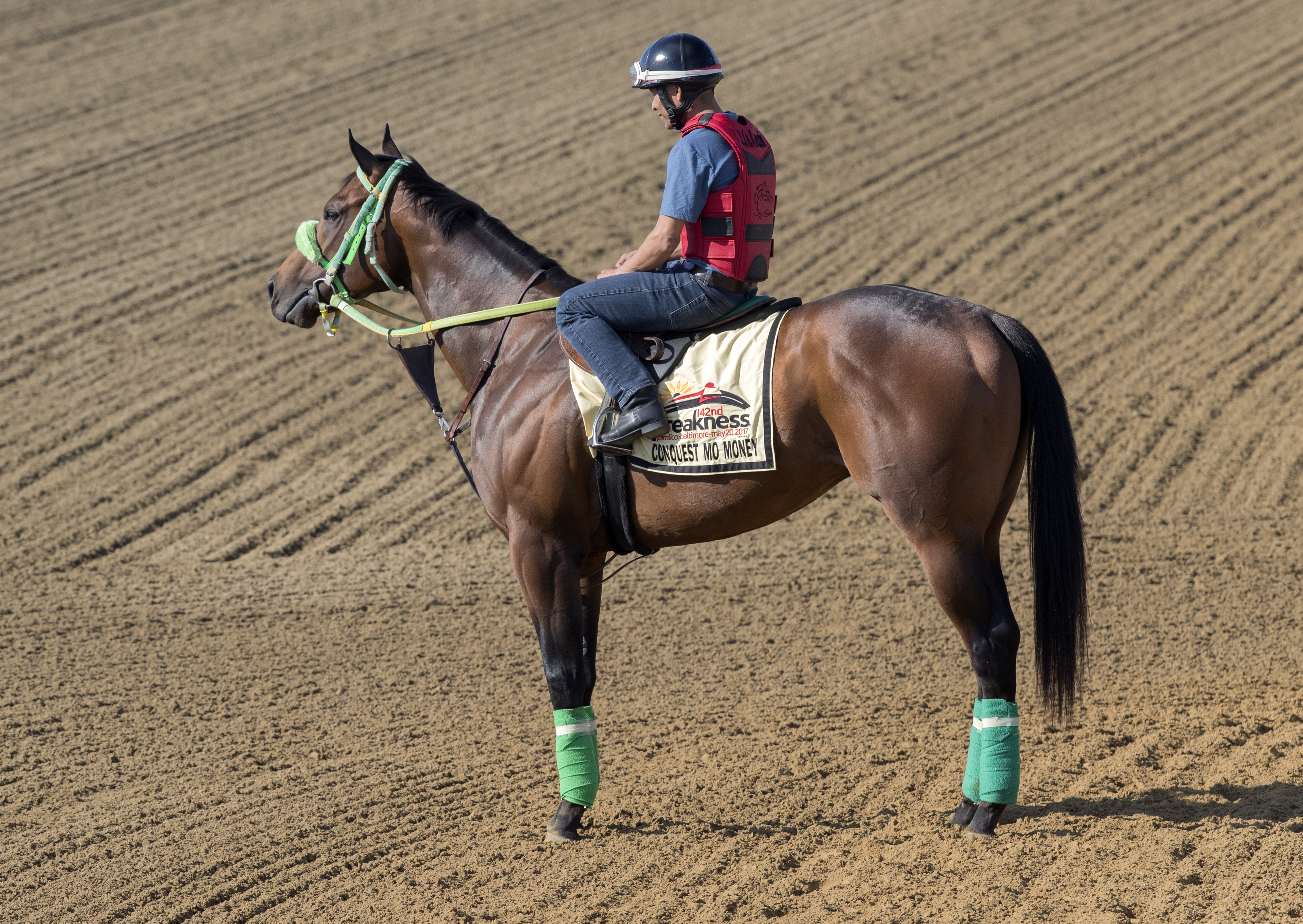 Conquest Mo Money at Pimlico on May 17