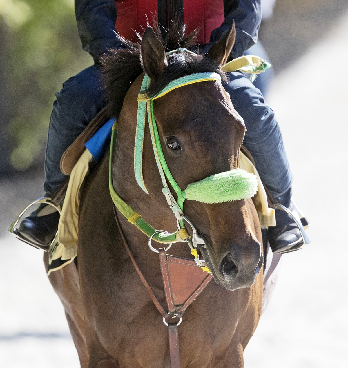 Conquest Mo Money in May 2017