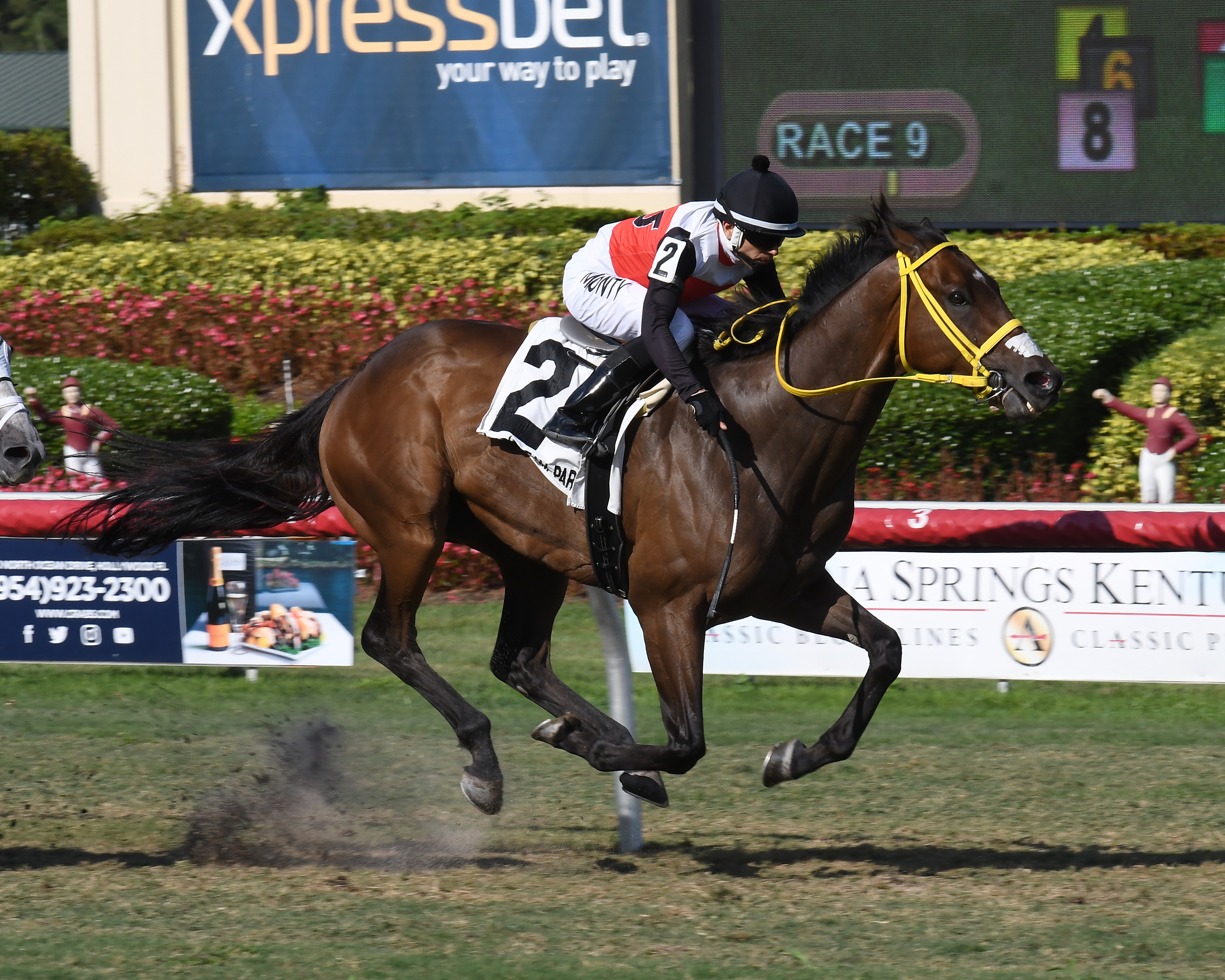 Conquest Sandman wins 2018 Miesque’s Approval