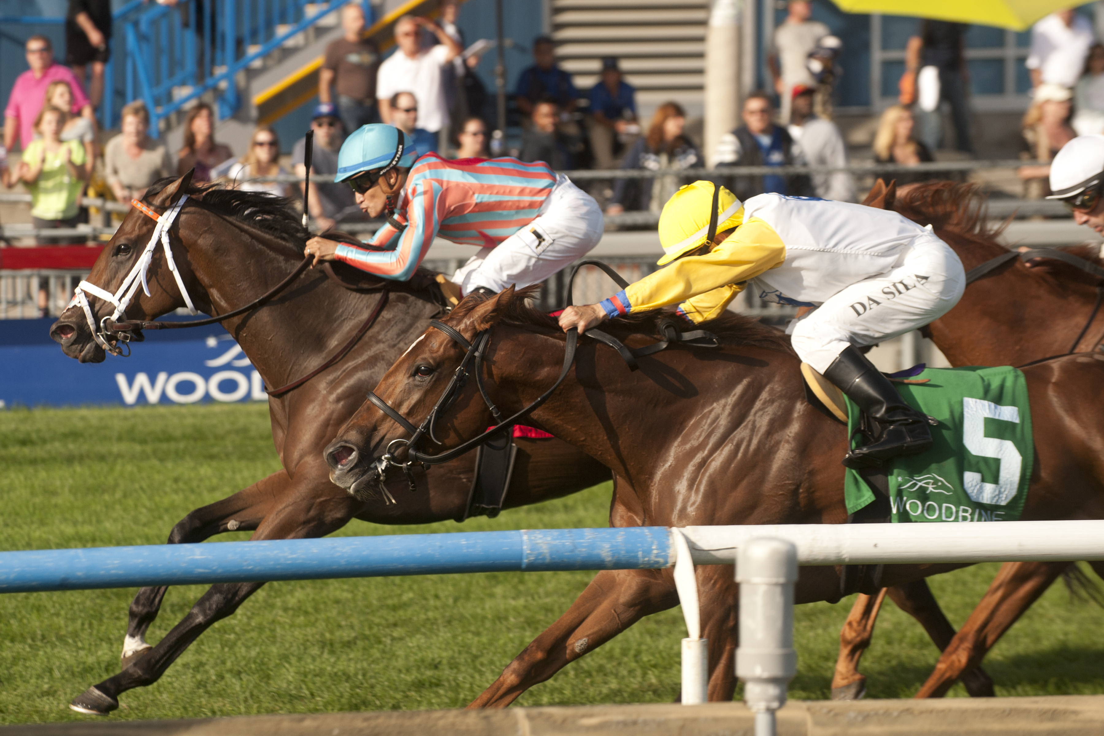Conquest Strate Up wins 2015 La Prevoyante