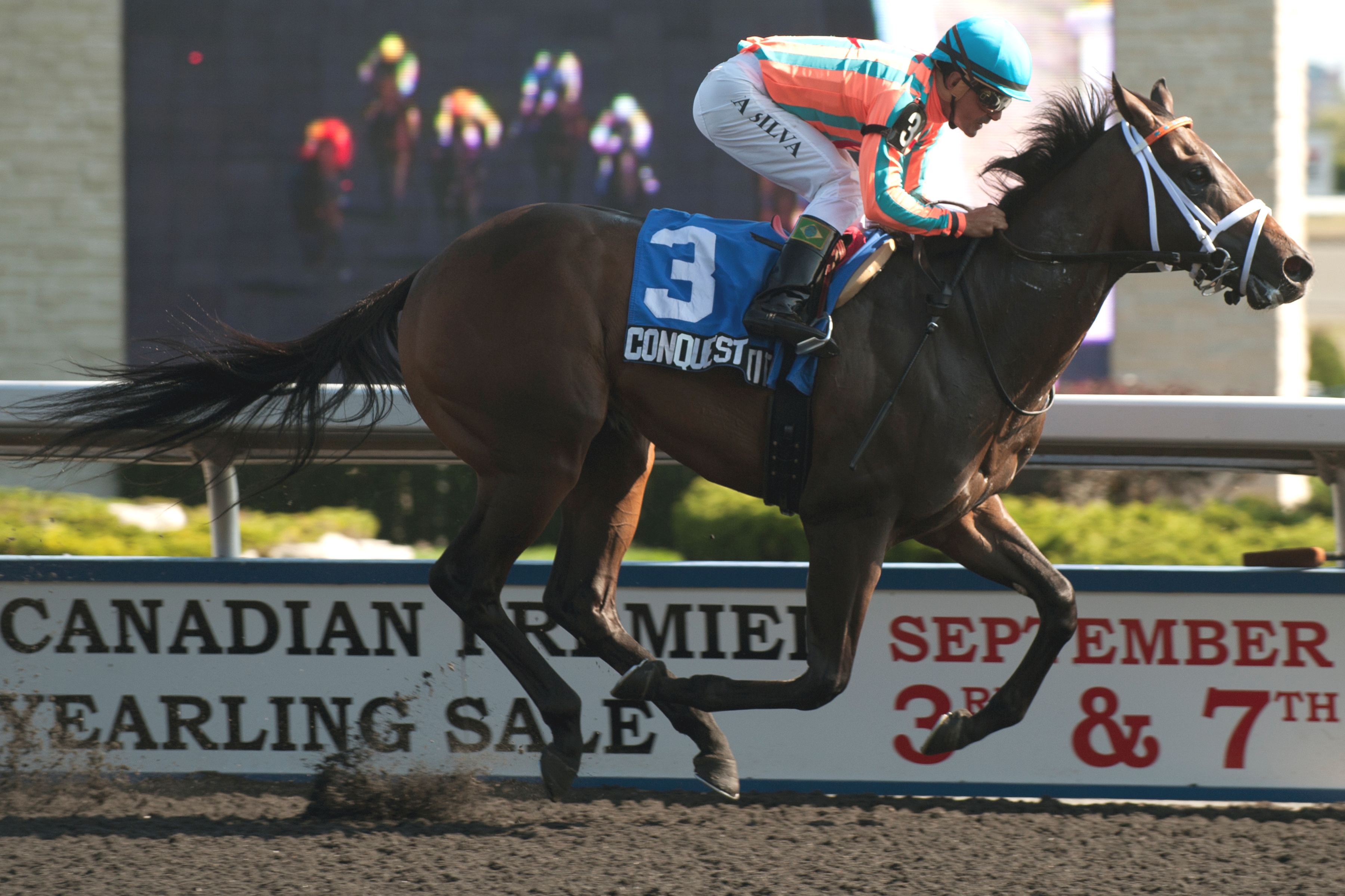 Conquest Titan, Swynford Stakes