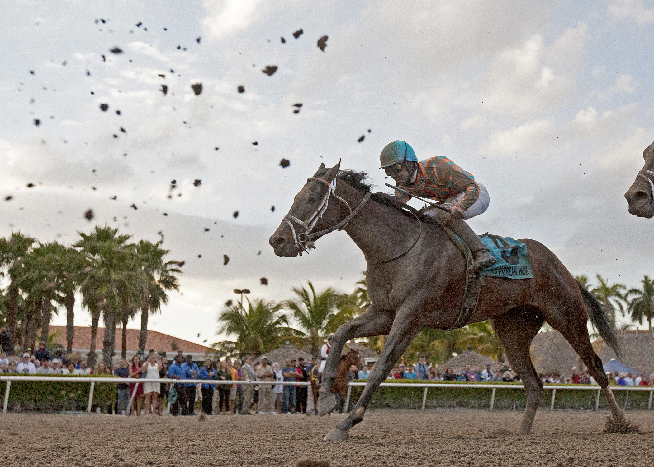 Conquest Titan finishes second in the Holy Bull