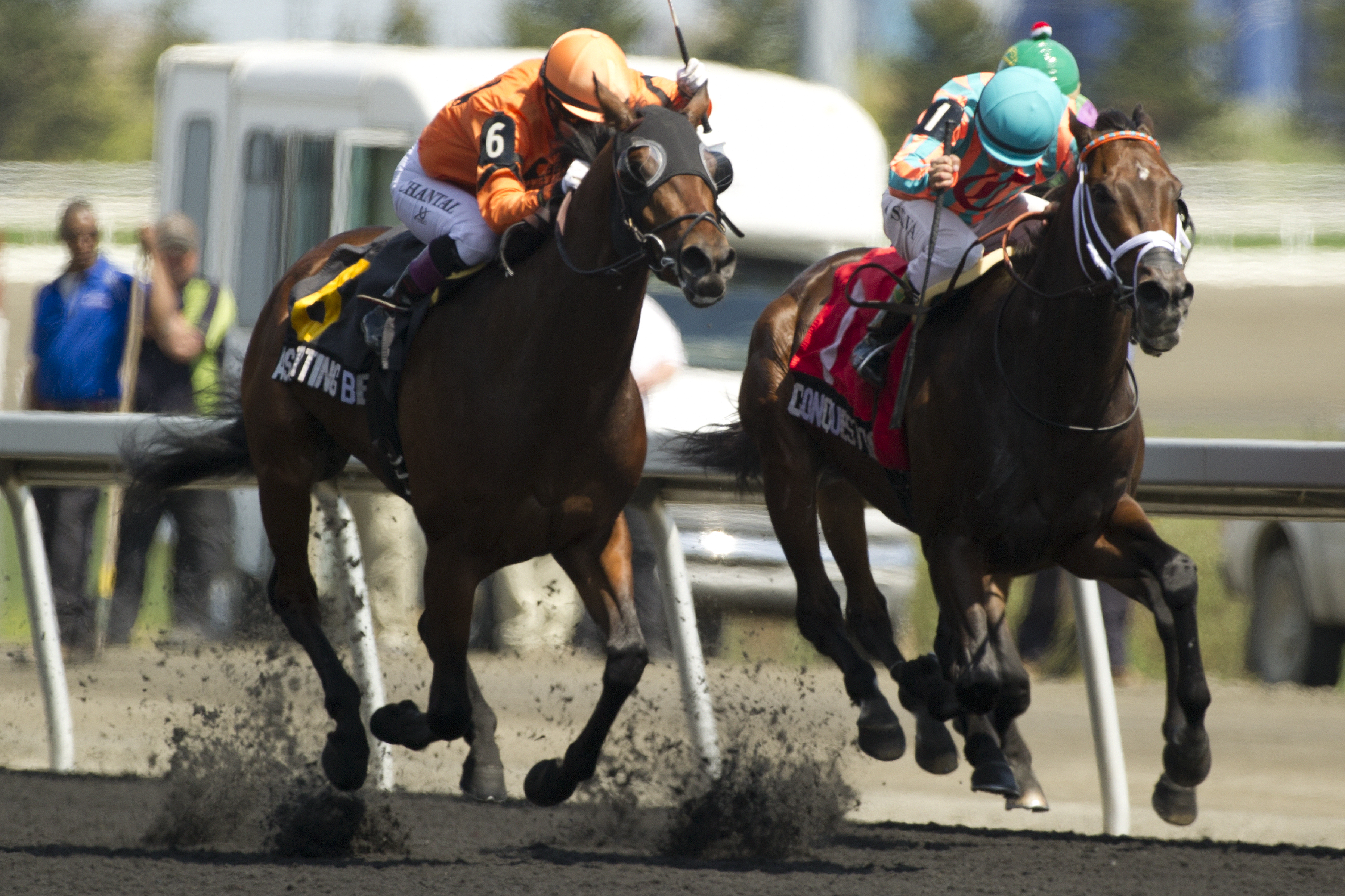 Conquest Top Gun wins the Marine Stakes