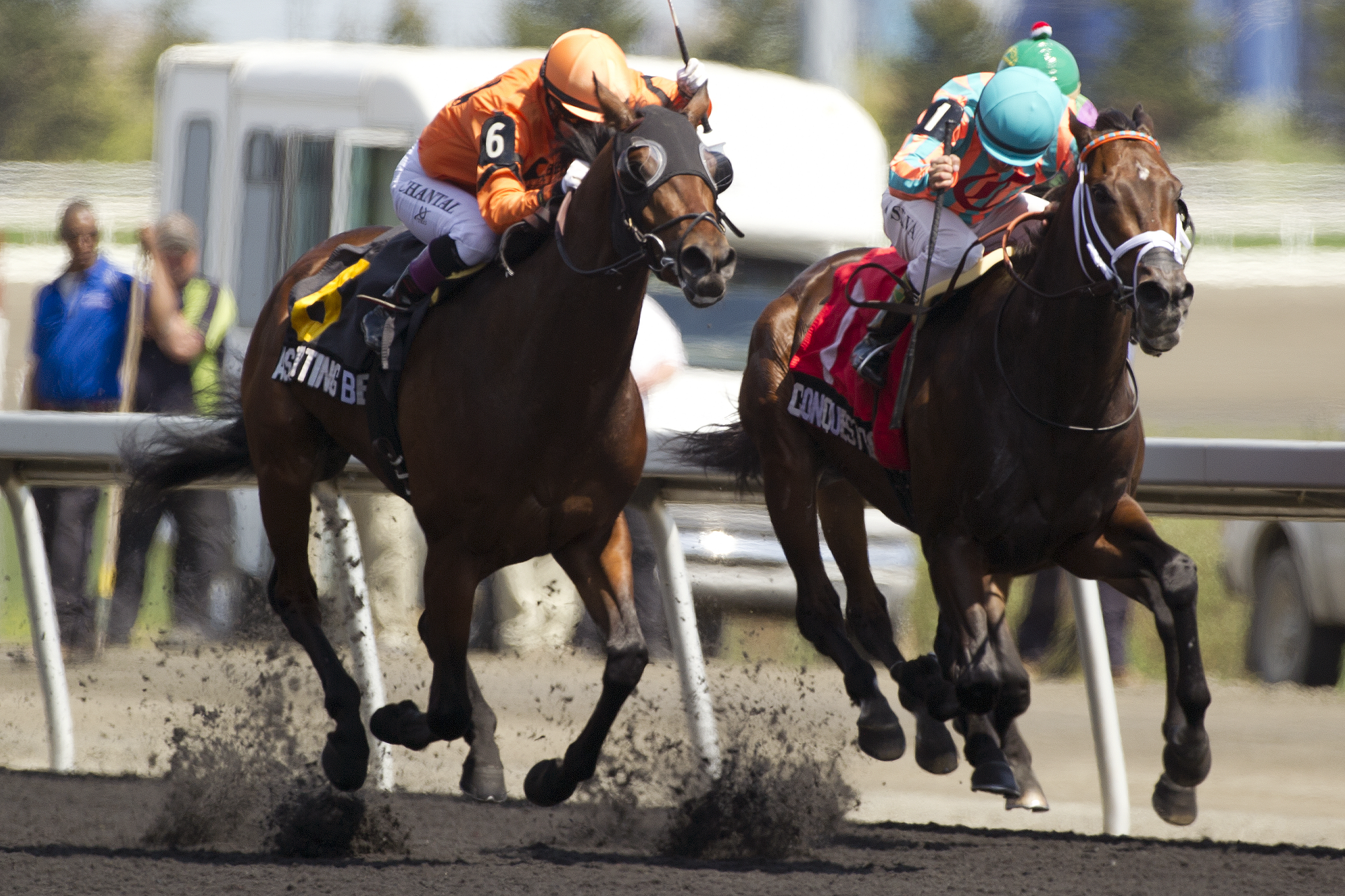 Asserting Bear wins the Marine Stakes