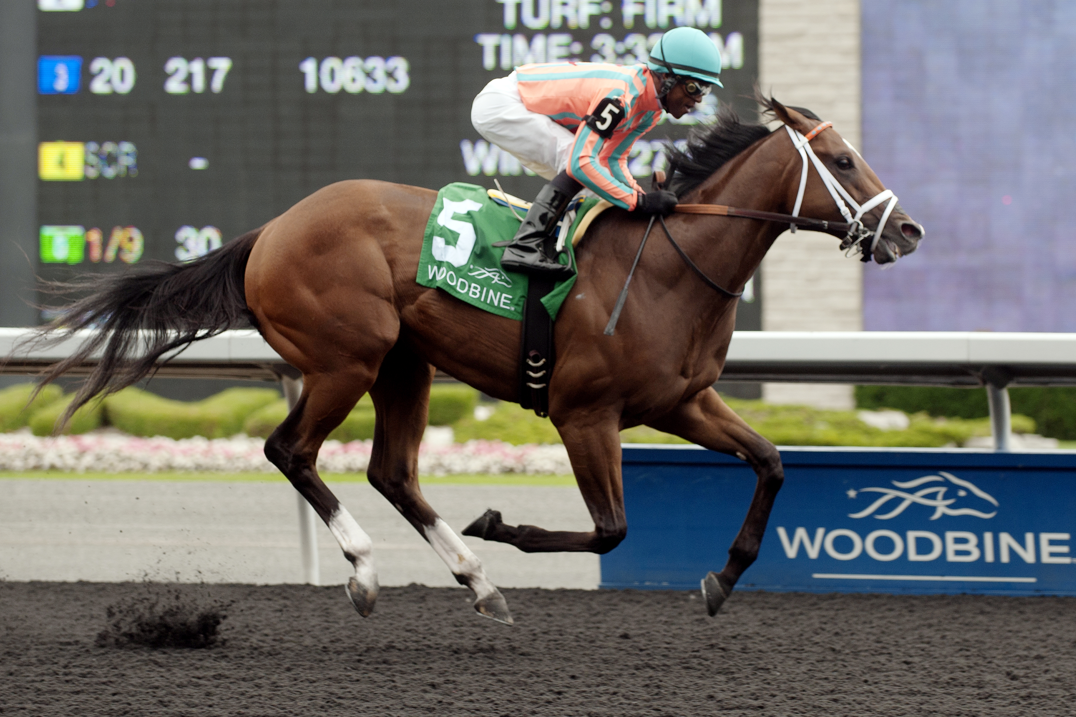 Conquest Tsunami wins the Colin Stakes