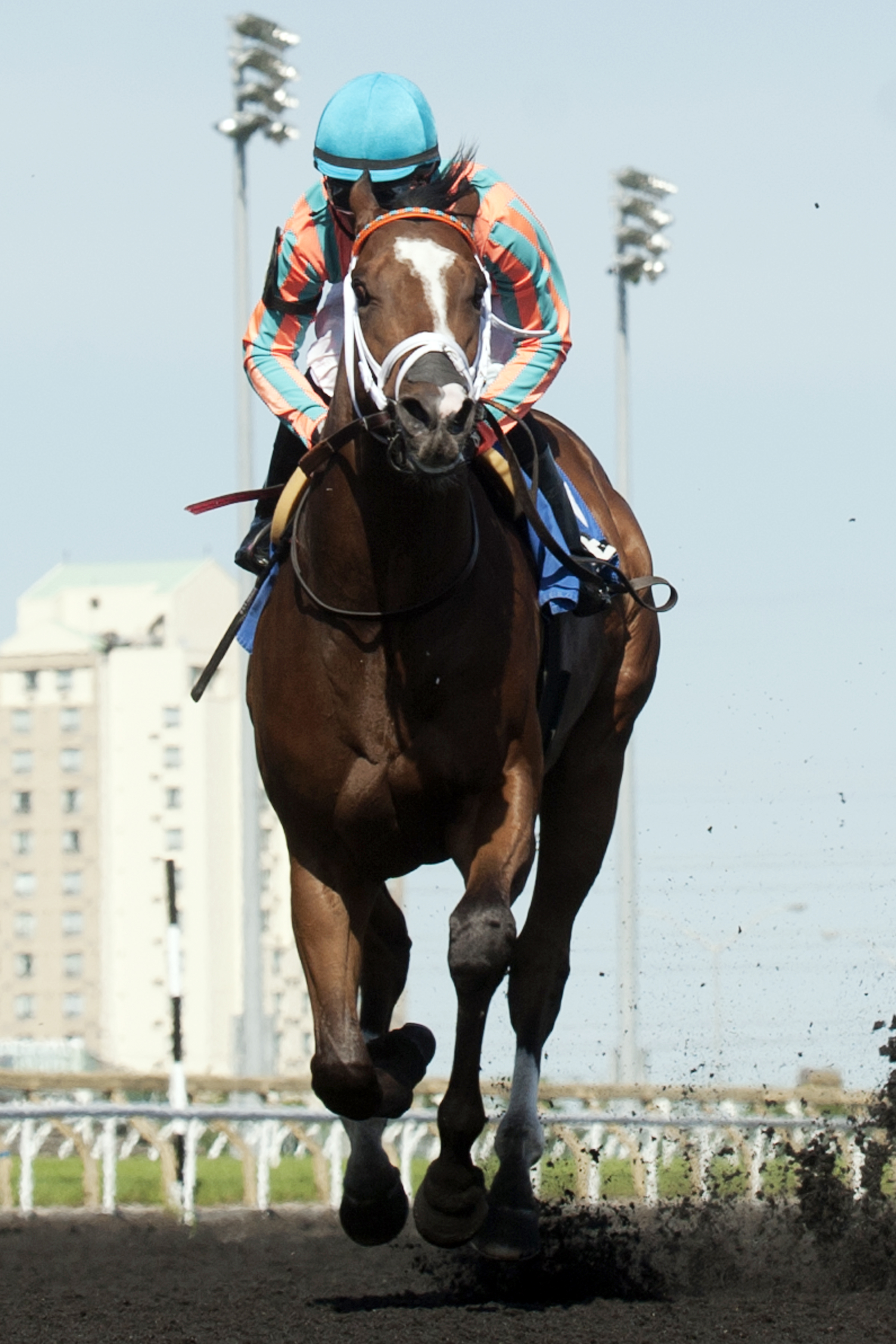 Conquest Tsunami wins the Victoria Stakes