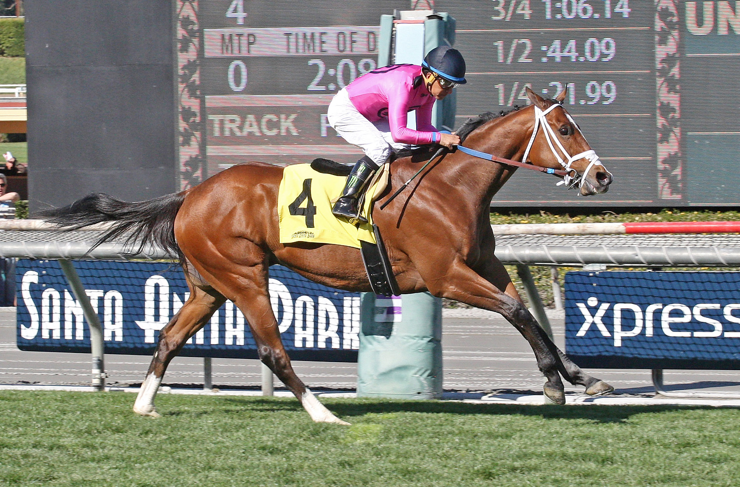 Conquest Tsunami wins the Daytona Stakes