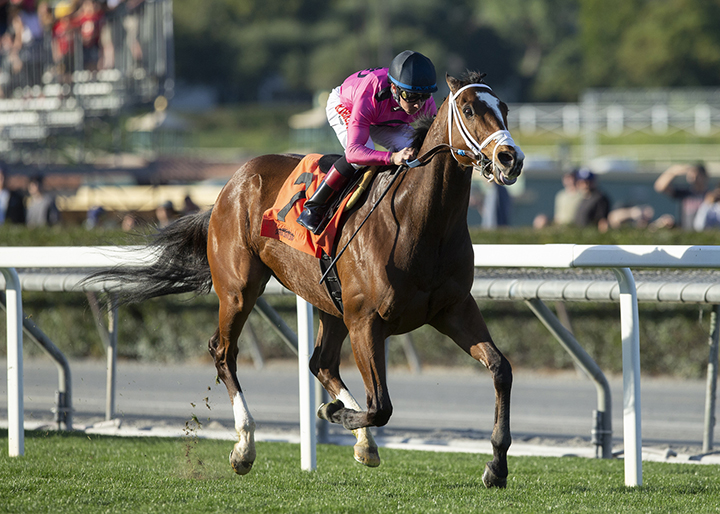 Conquest Tsunami wins the 2019 Clockers Corner Stakes