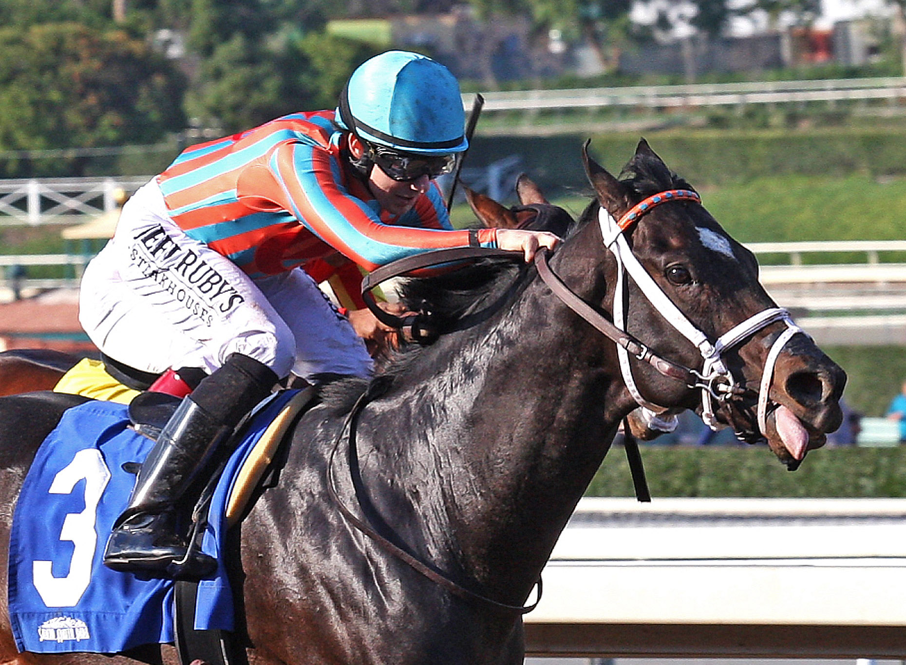 Conquest Two Step wins the Palos Verdes