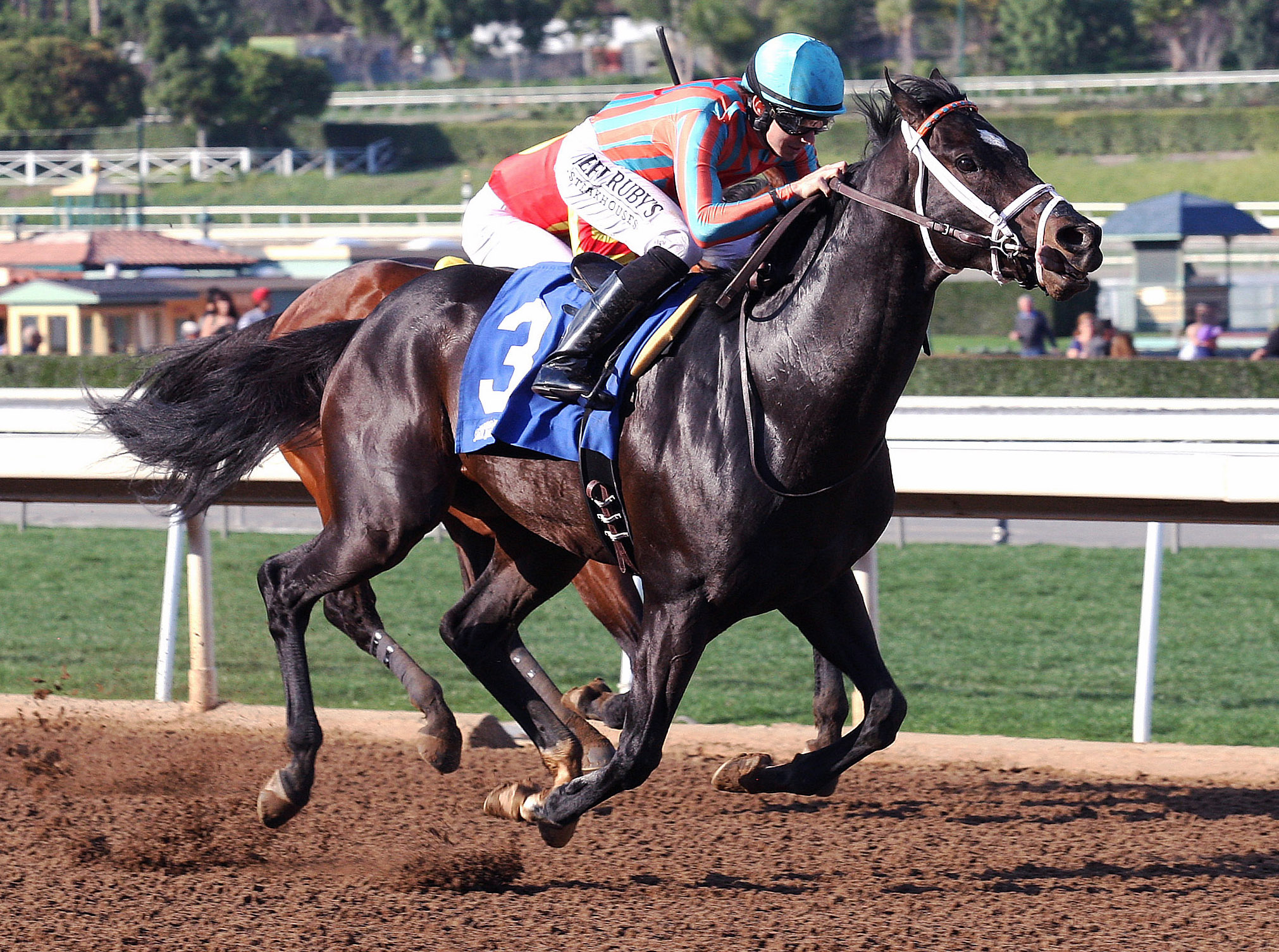 Conquest Two Step wins the Palos Verdes