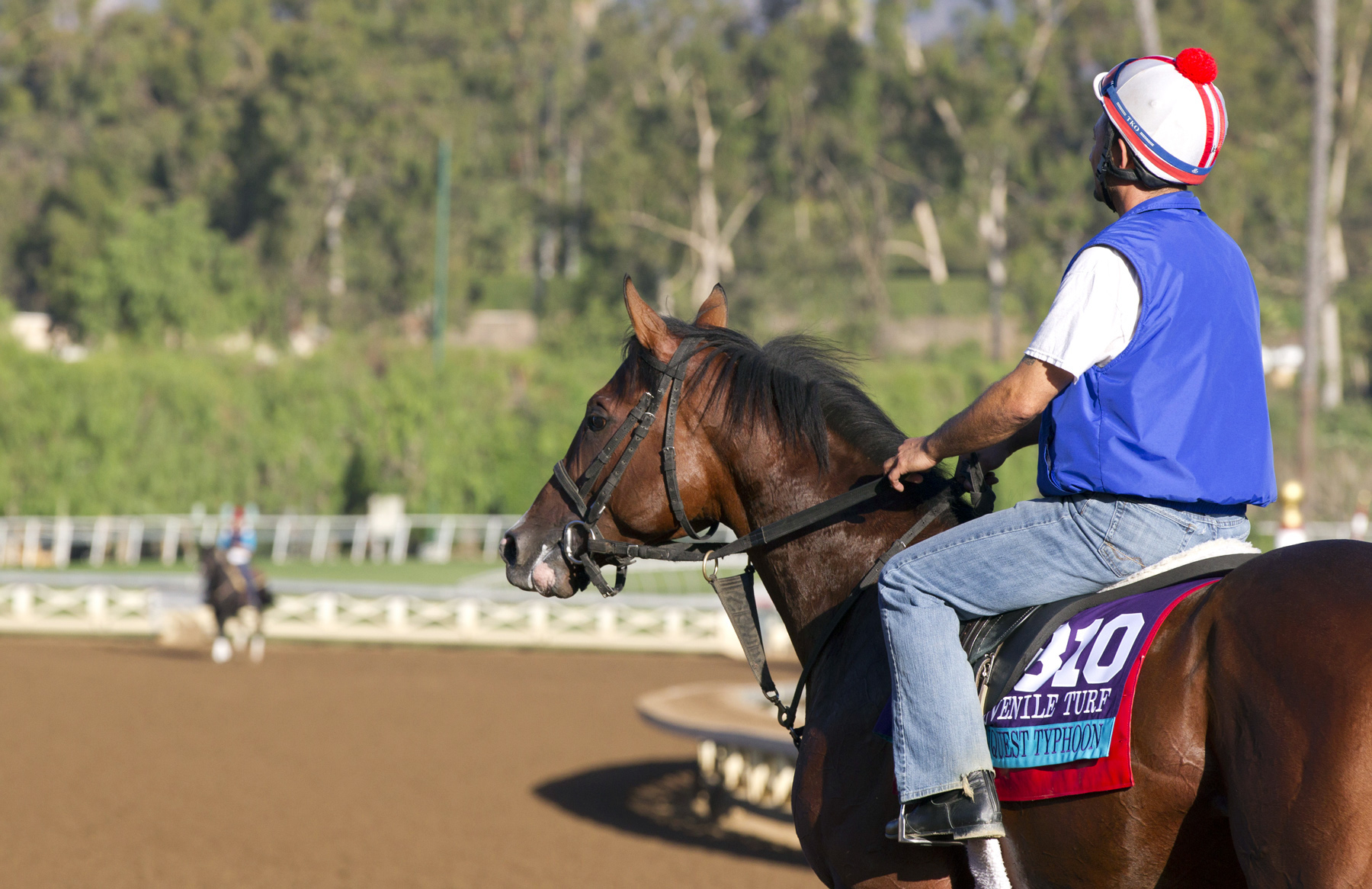 Conquest Typhoon at Santa Anita
