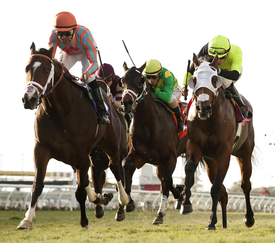 Conquest Typhoon wins the Cecil B. DeMille