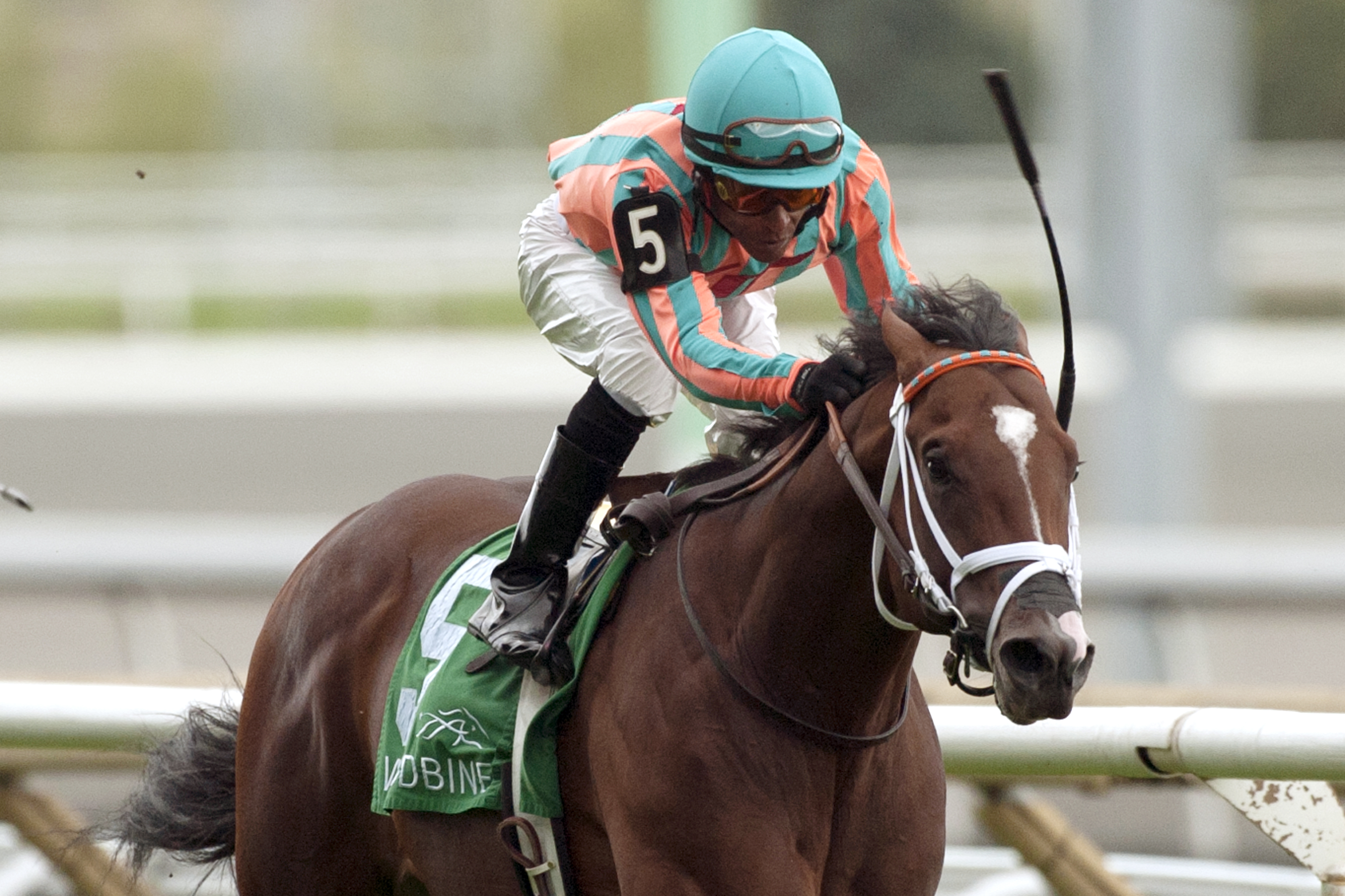 Conquest Typhoon wins the Summer Stakes
