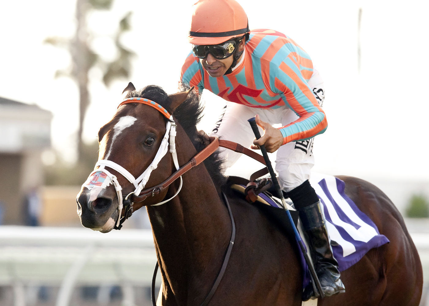 Conquest Typhoon wins the Cecil B. DeMille Stakes