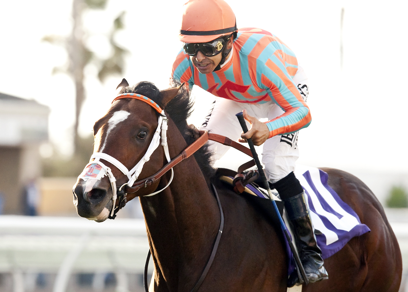 Conquest Typhoon wins the Cecil B. DeMille Stakes