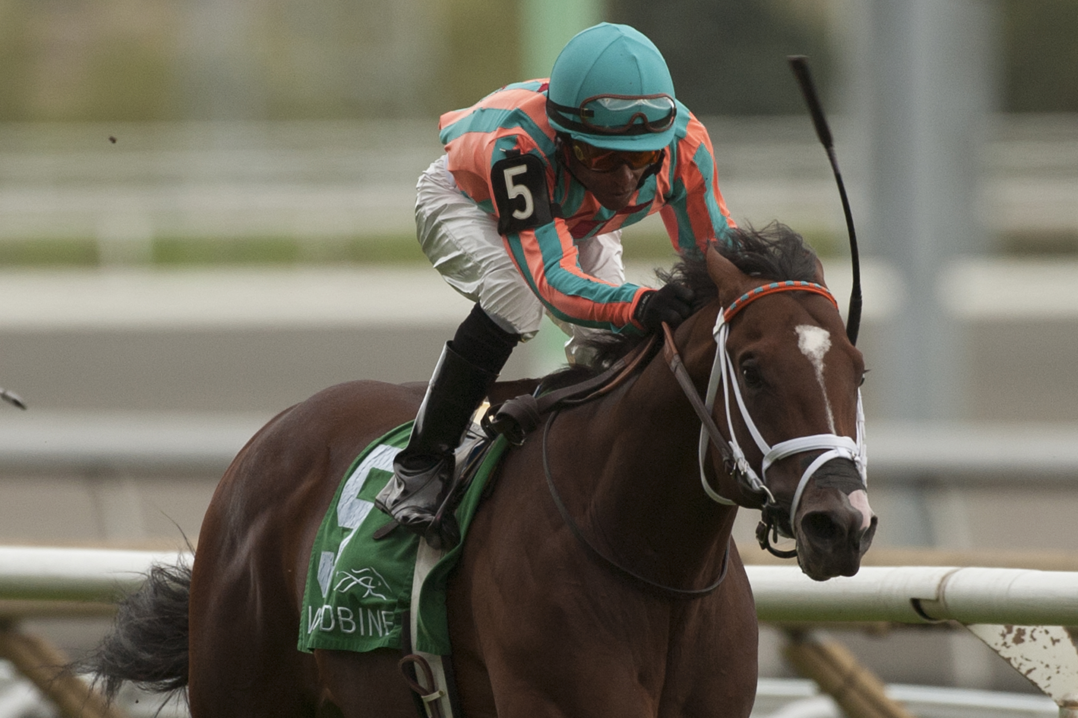 Conquest Typhoon 9-13-2014