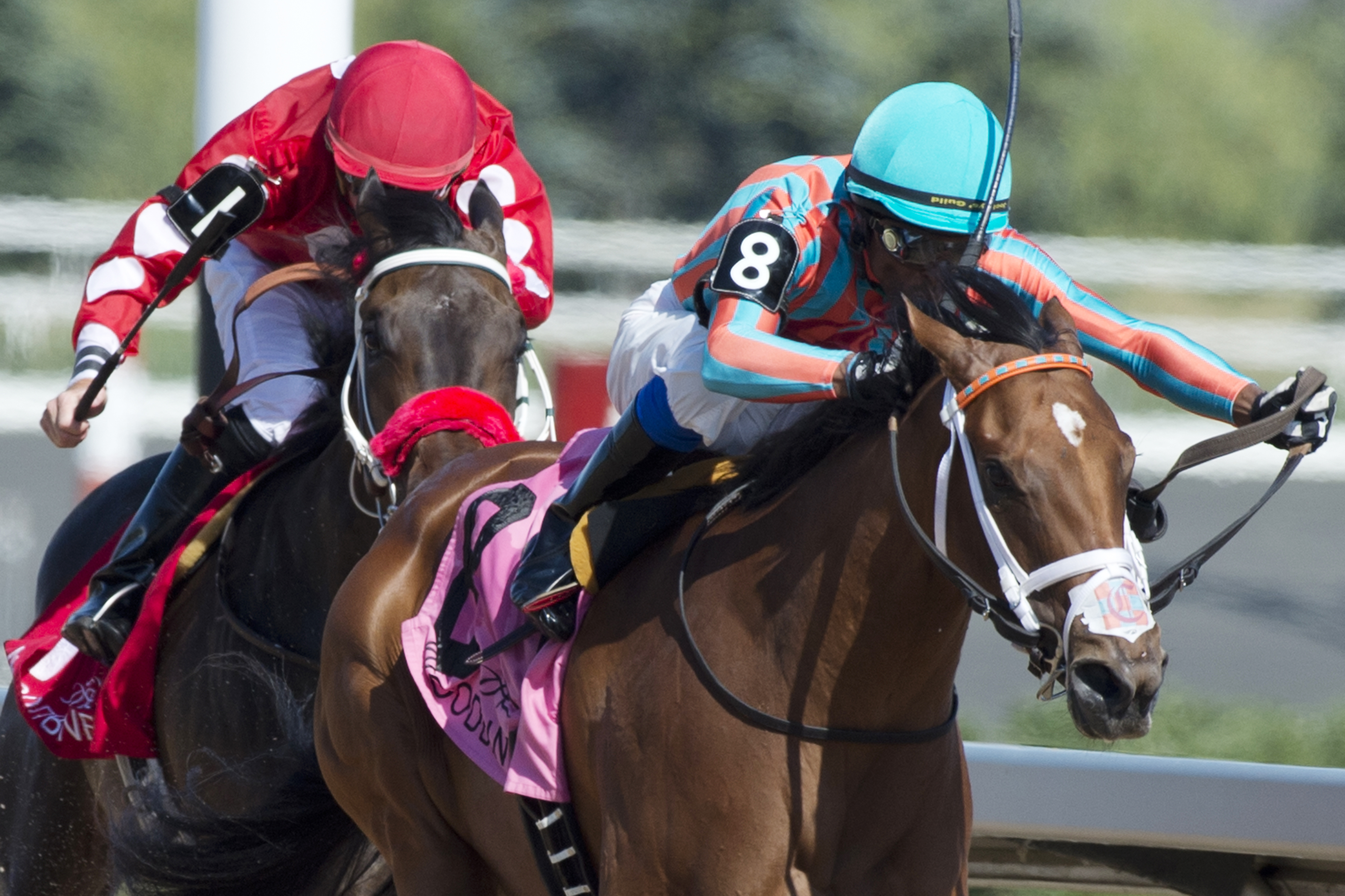Conquest Vivi wins the Nandi Stakes