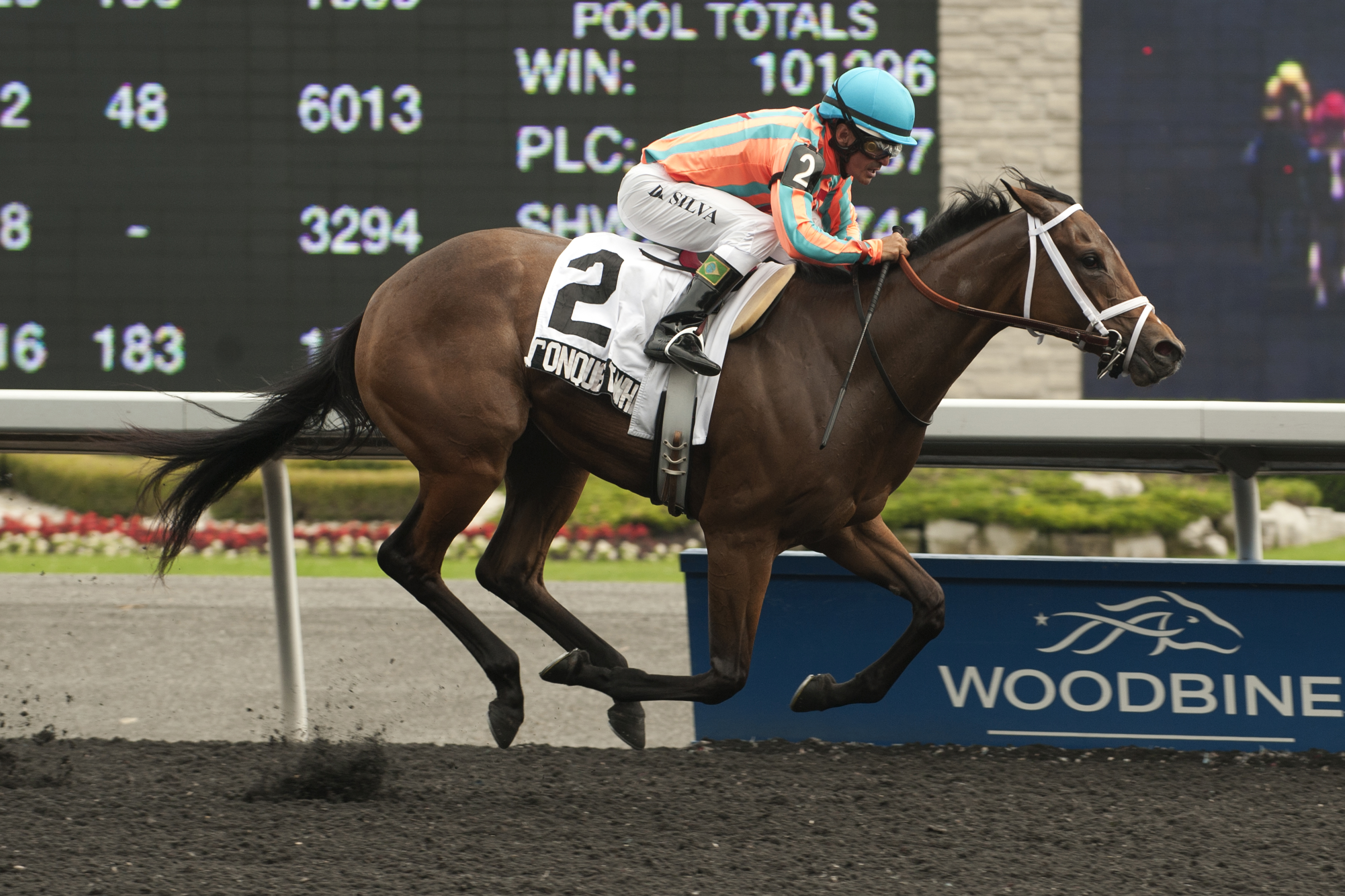 Conquest Whiplash, Victoria Stakes
