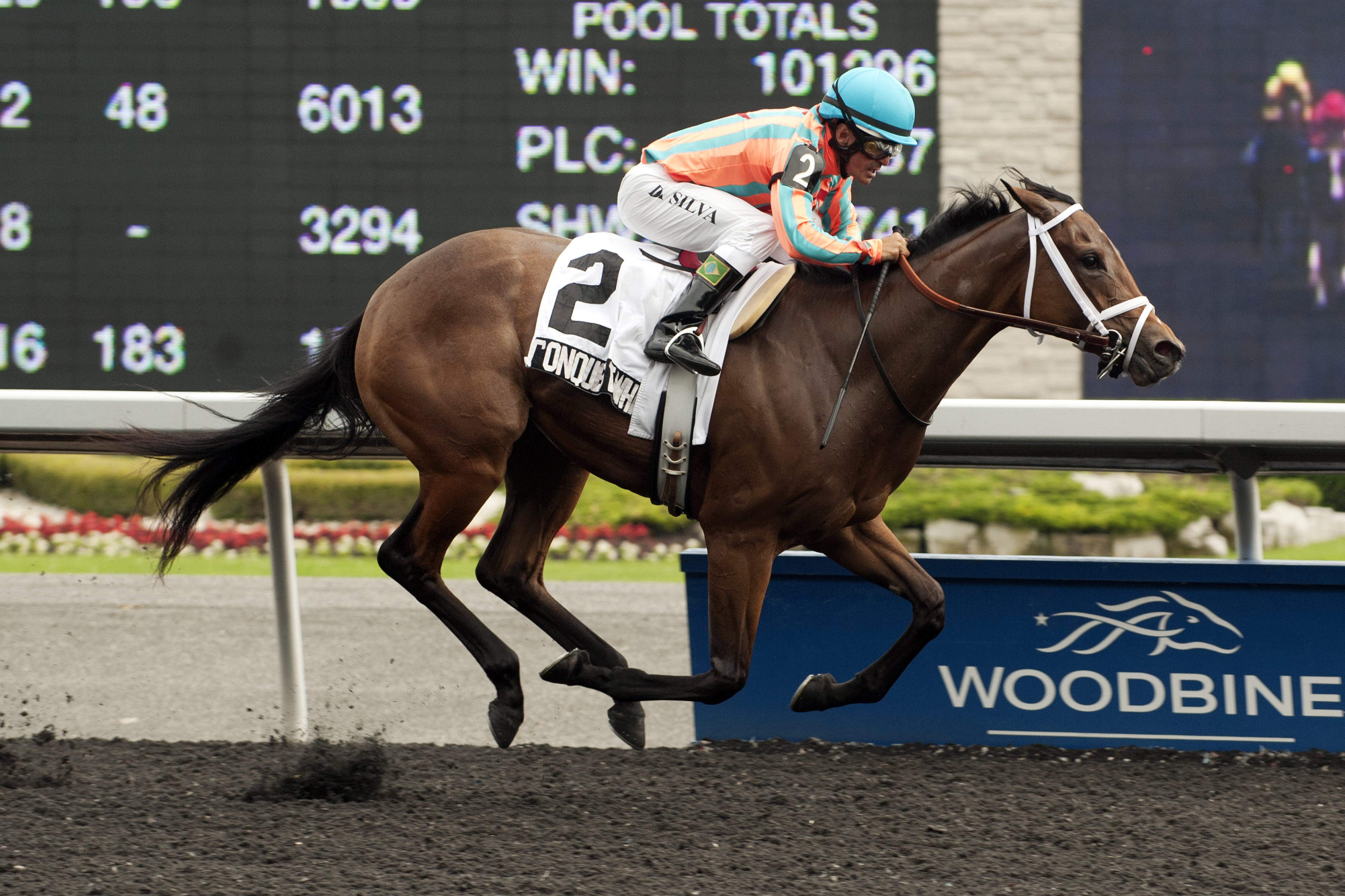 Conquest Whiplash wins the Victoria Stakes
