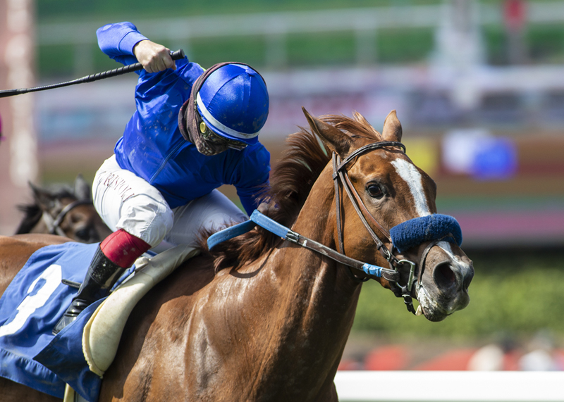 Constantia wins Mizdirection 4-17-2021