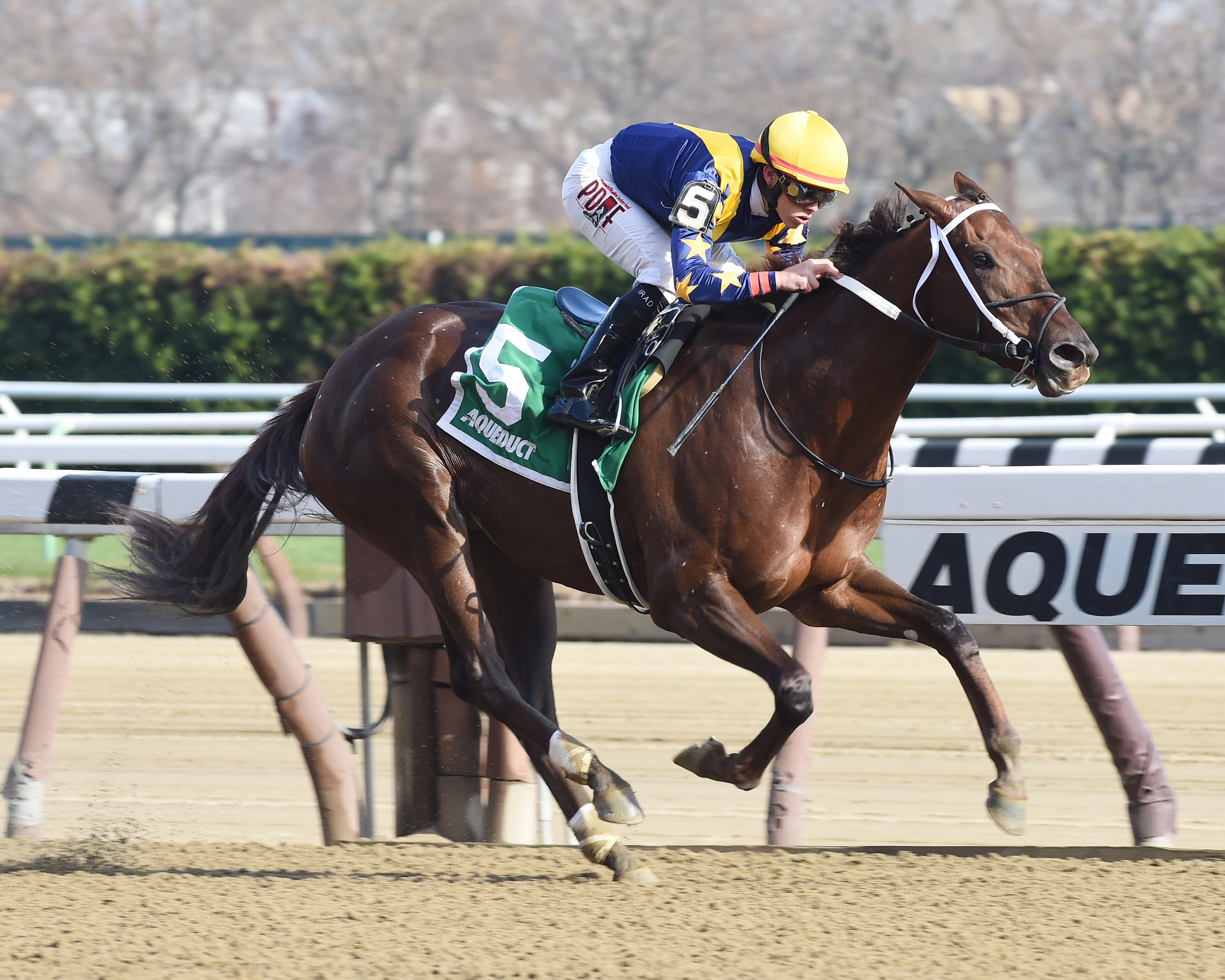 Constellation wins the Furlough Stakes