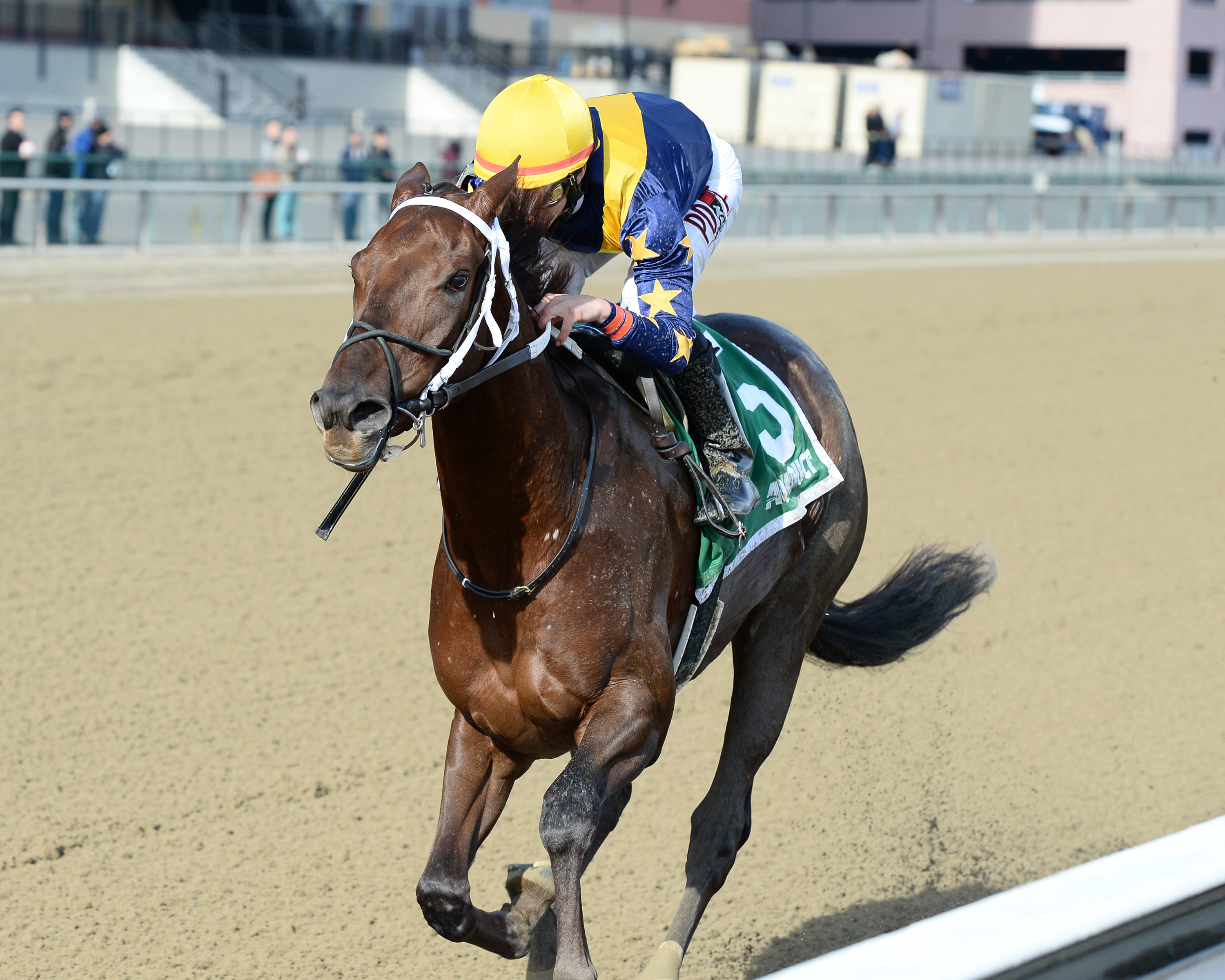 Constellaton wins the Furlough Stakes